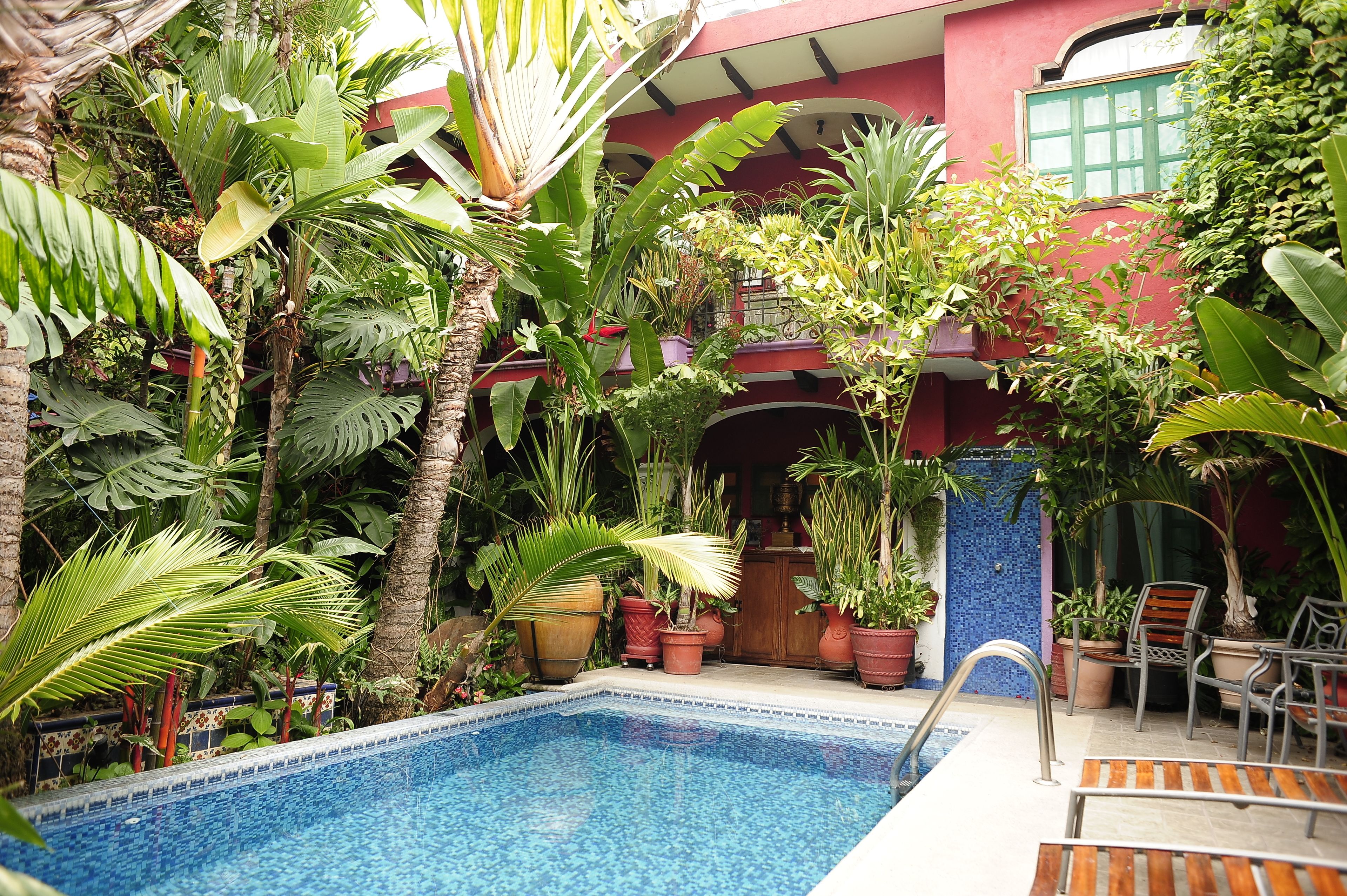 outdoor pool, pool loungers