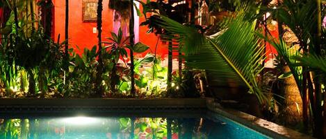 Outdoor pool, sun loungers