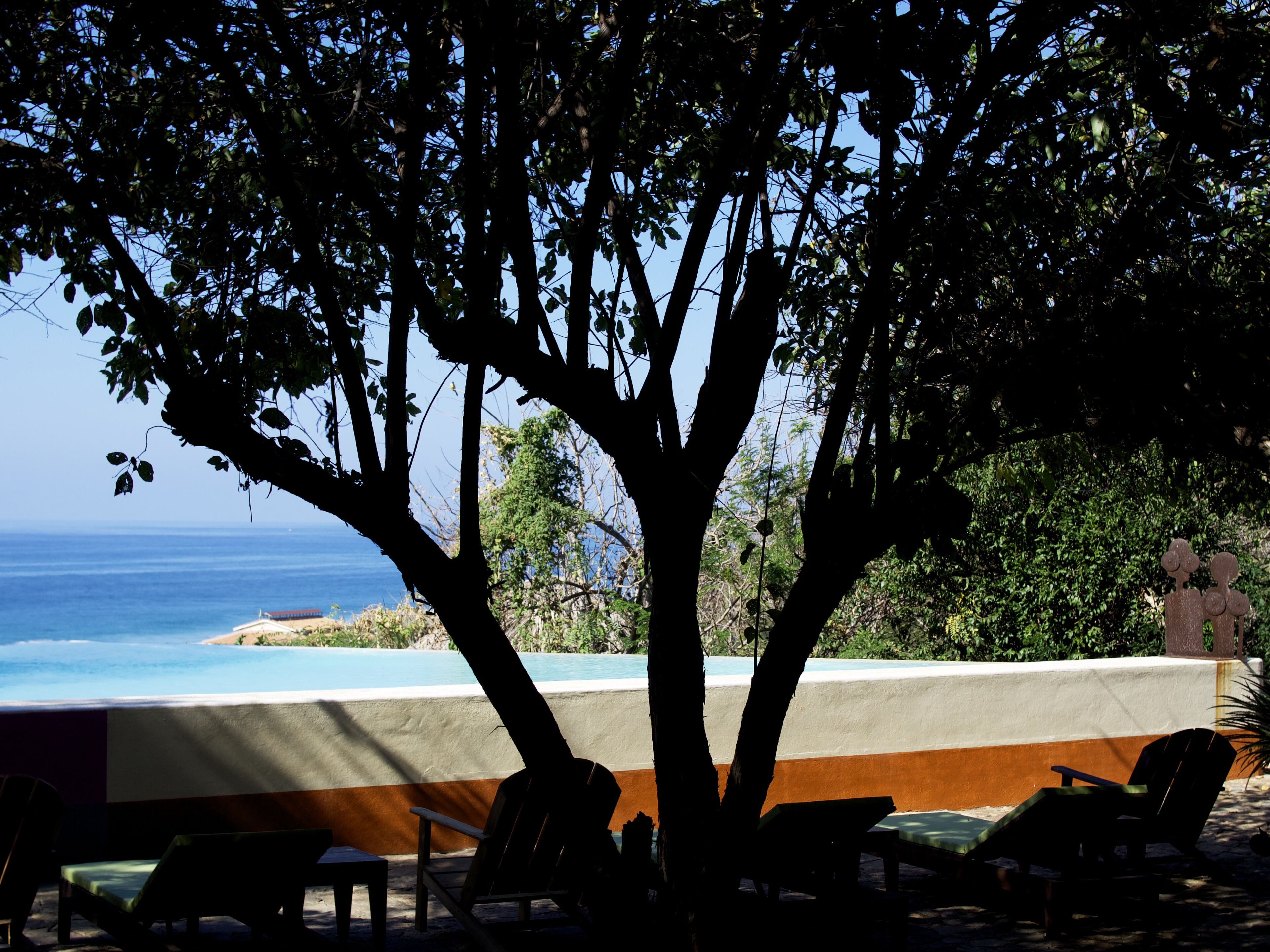 A beachside view with a tree, lounge chairs, and a pool.