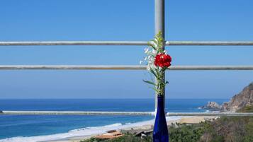 Deluxe Cabin, 1 King Bed, Ocean View (Triangular Room) | Terrace/patio