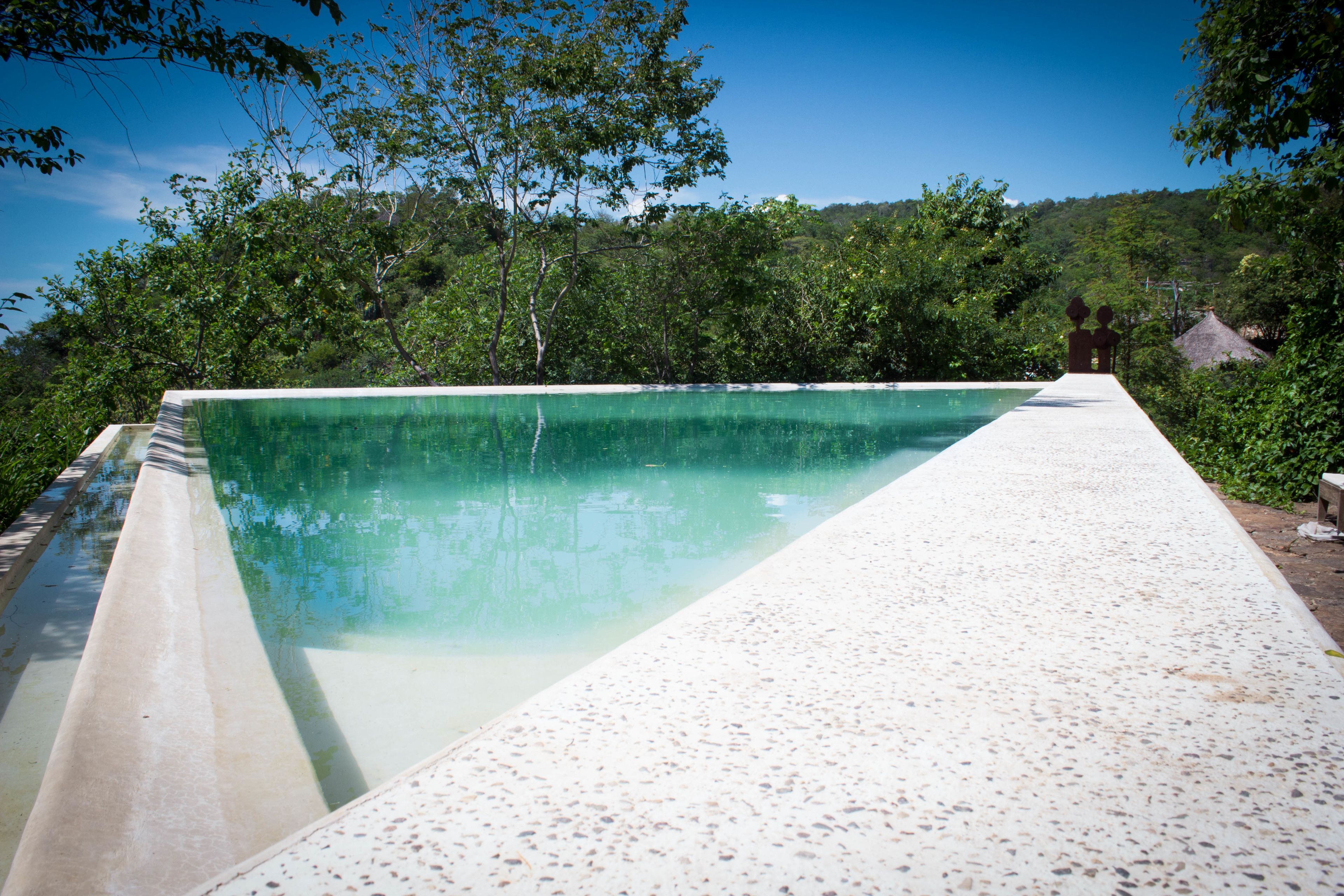 A rectangular swimming pool with a pebble-textured deck, surrounded by lush greenery and a clear blue sky.
