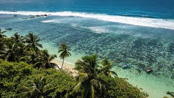 A tropical beach with clear turquoise waters, palm trees, and boats.