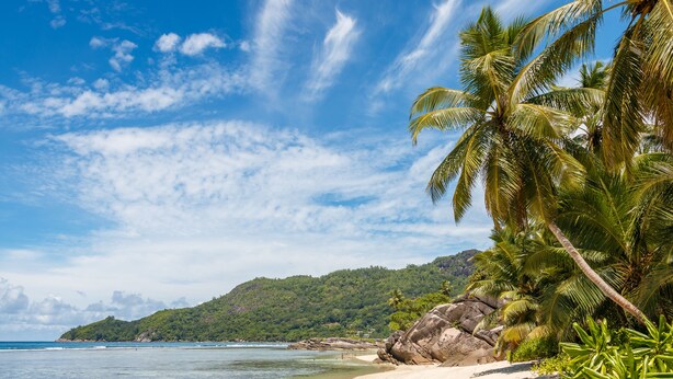 Una playa con agua cristalina, un bote y palmeras.
