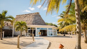 Een gebouw aan het strand met rieten dak, omgeven door palmbomen en een zandpad.
