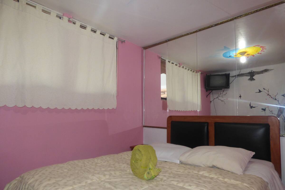 A bedroom with a bed, pink walls, a window with a curtain, a television on the wall, and a mural of birds and a shark.