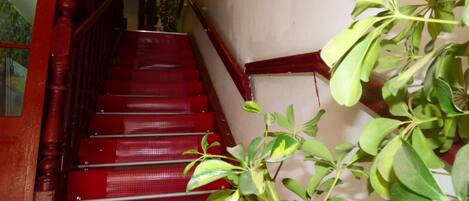 Una escalera con escalones rojos y barandal de madera.