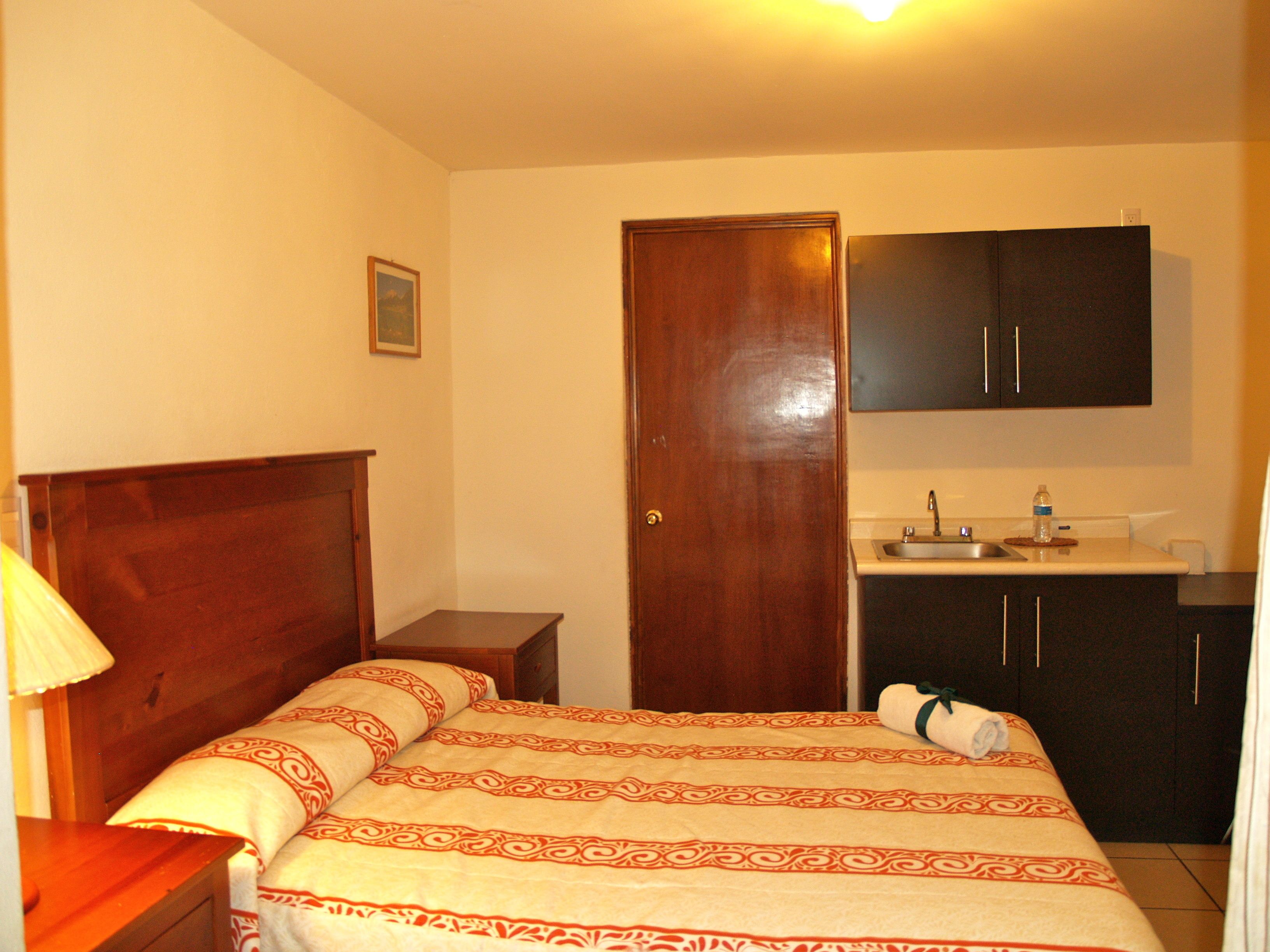 Un dormitorio con cama de madera, una mesita de noche, una lámpara de noche, una puerta y una zona de cocina con un lavabo y armarios.
