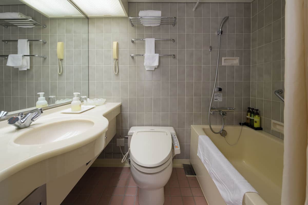 combined shower/bathtub, free toiletries, hair dryer, slippers
