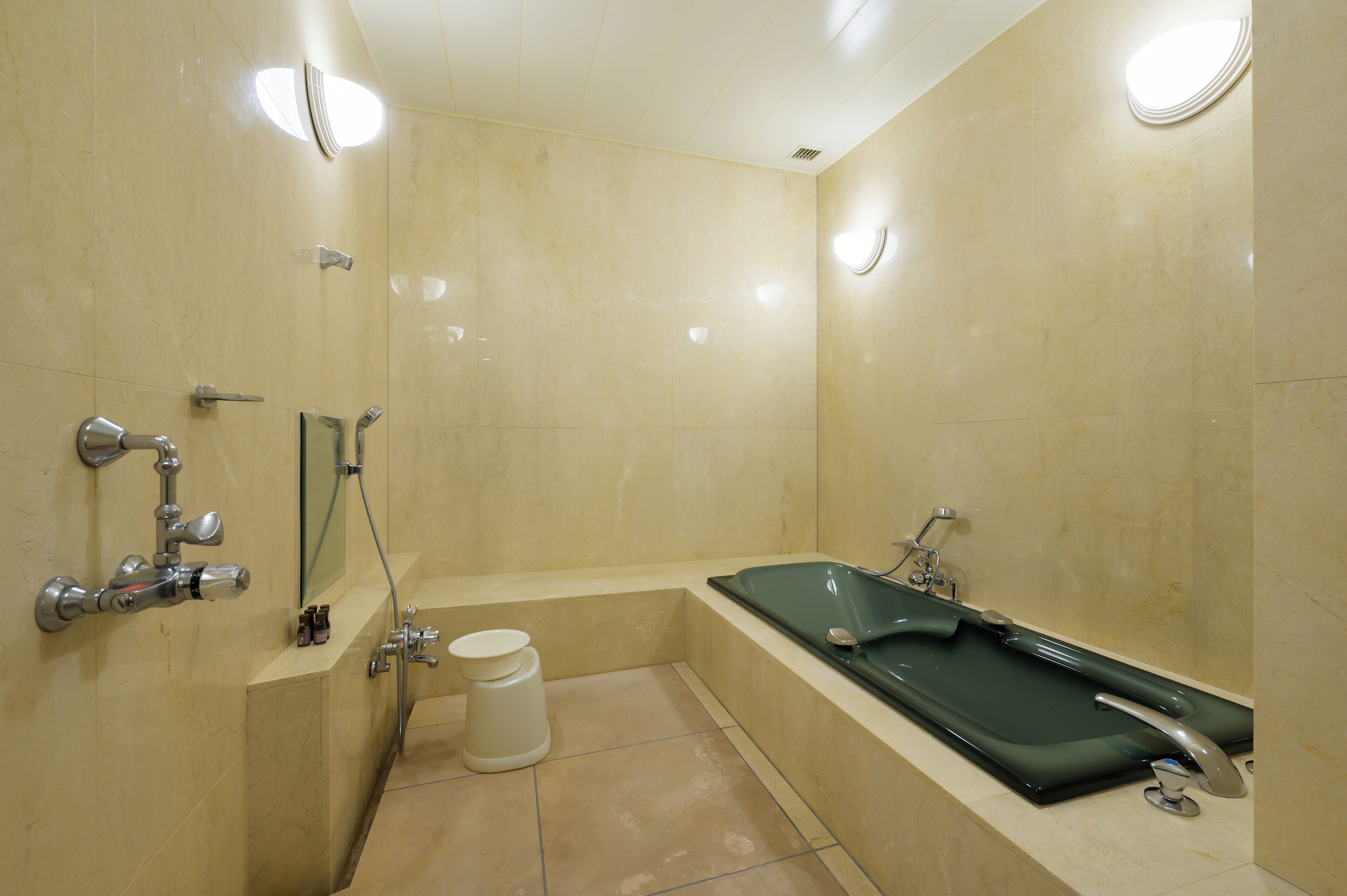 A modern bathroom with a bathtub, a shower, and a toilet.