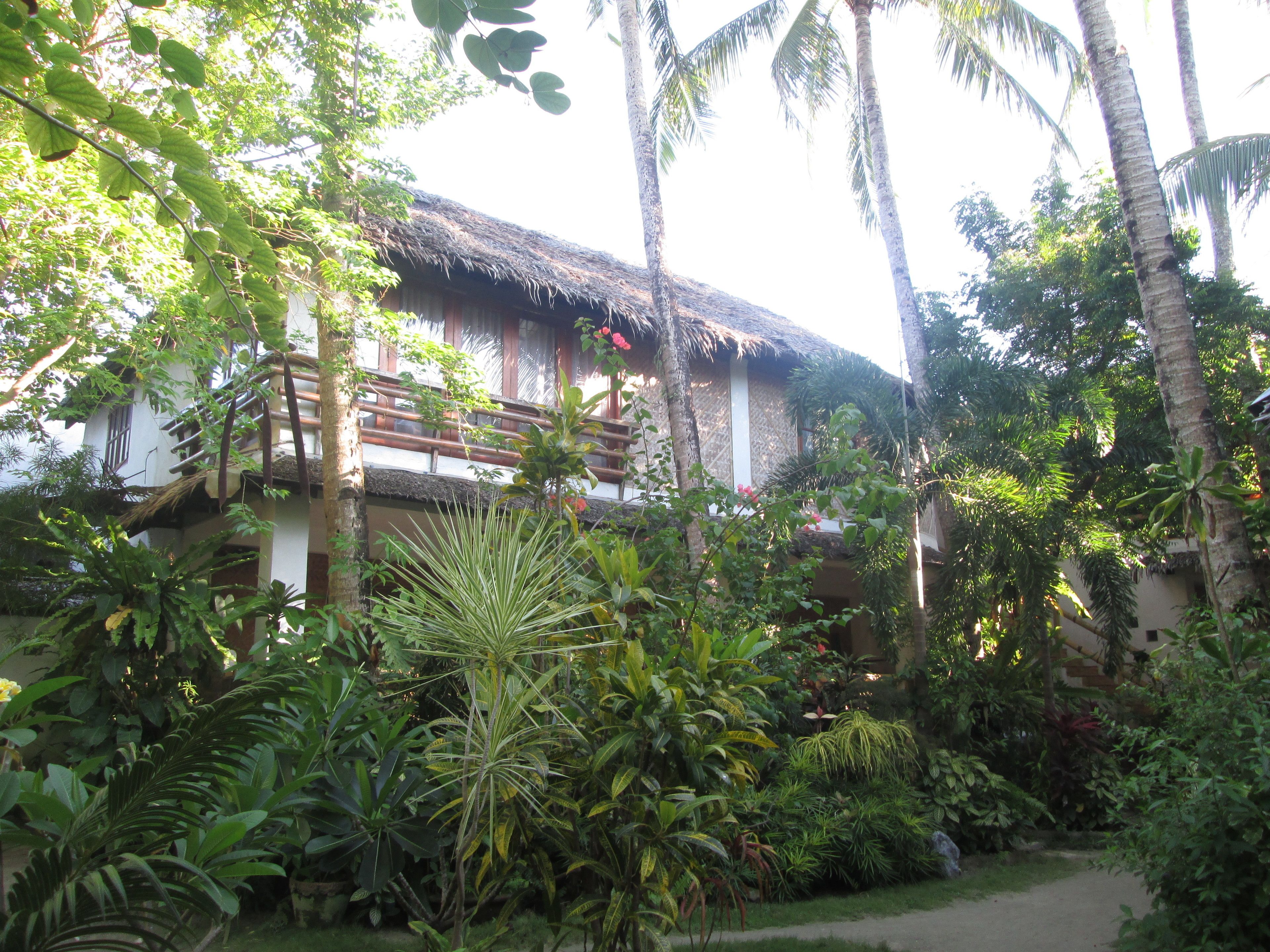 A traditional house with a thatched roof, surrounded by lush tropical vegetation.