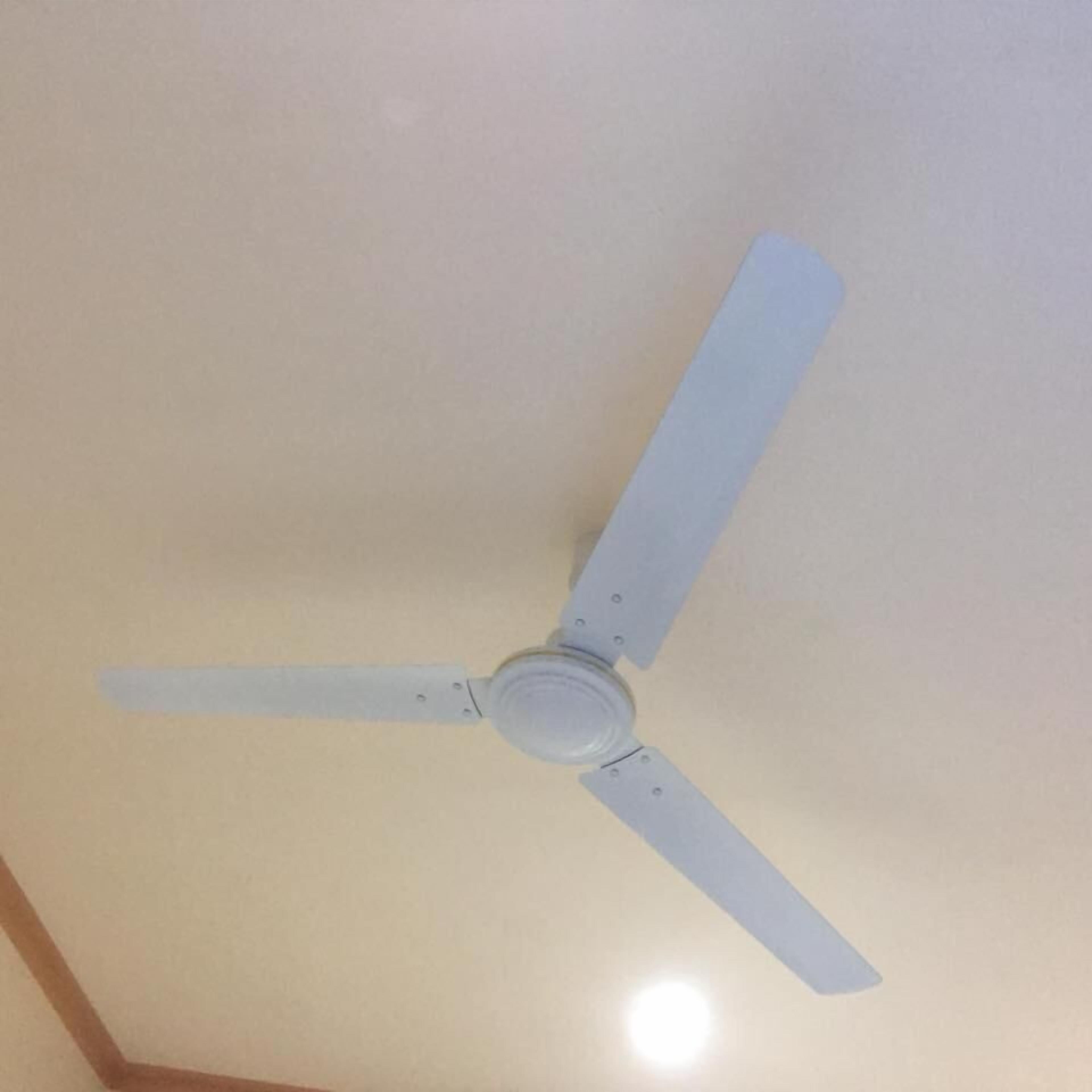 Photo - Dayview Tourist Home