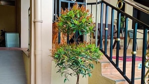 Una scala con una pianta in vaso alla base.