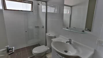 A bathroom with a glass-enclosed shower, a toilet, a sink, and a mirror.