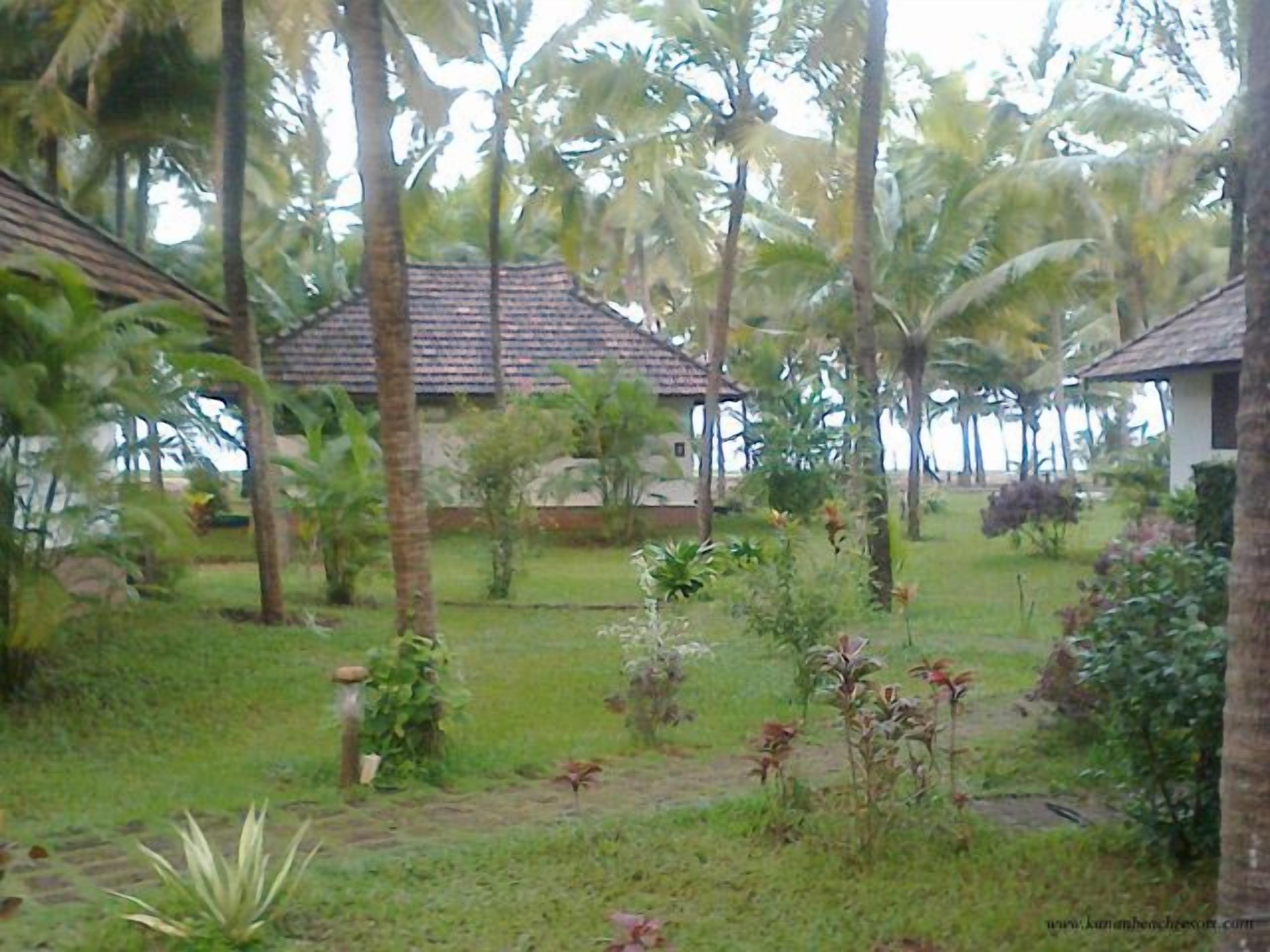 A tropical garden with palm trees and a small building with a tiled roof.