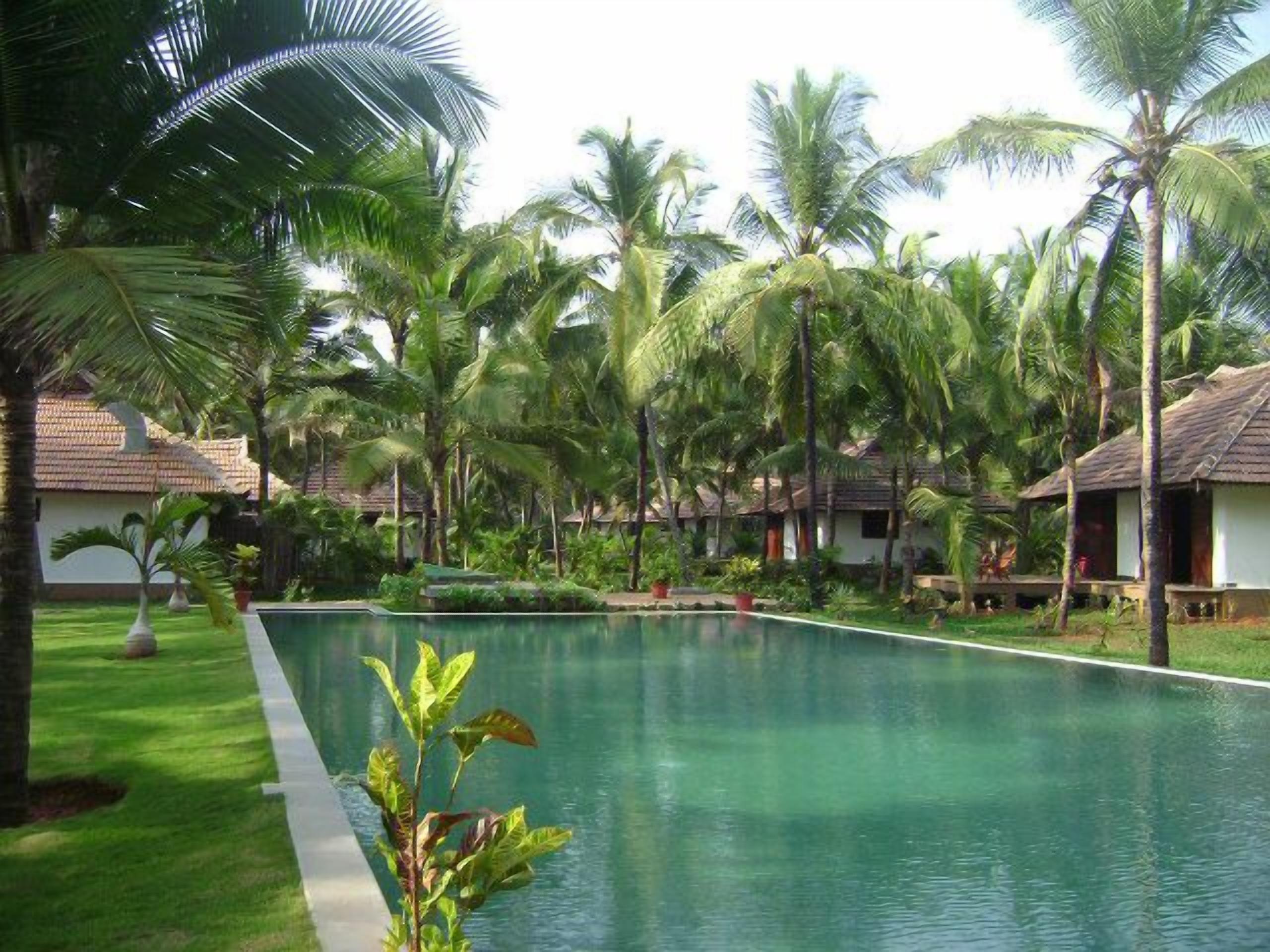 Outdoor pool, open 8 AM to 7:30 PM, sun loungers
