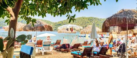 Playa