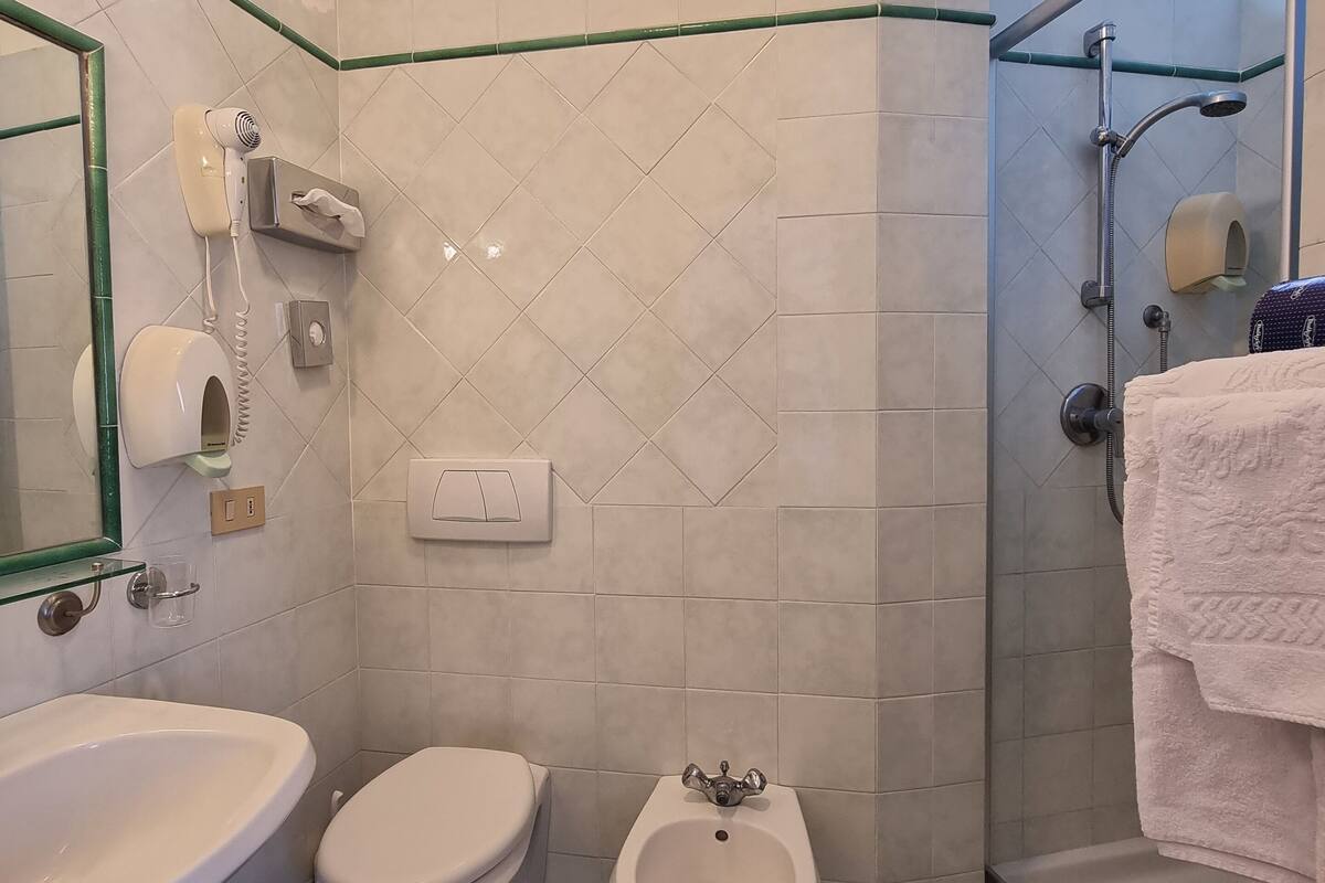 shower, hair dryer, bidet, towels