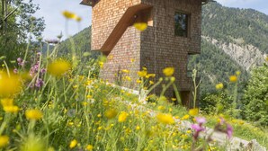 A modern brick house with a sloped roof, surrounded by a lush meadow with yellow and purple wildflowers.