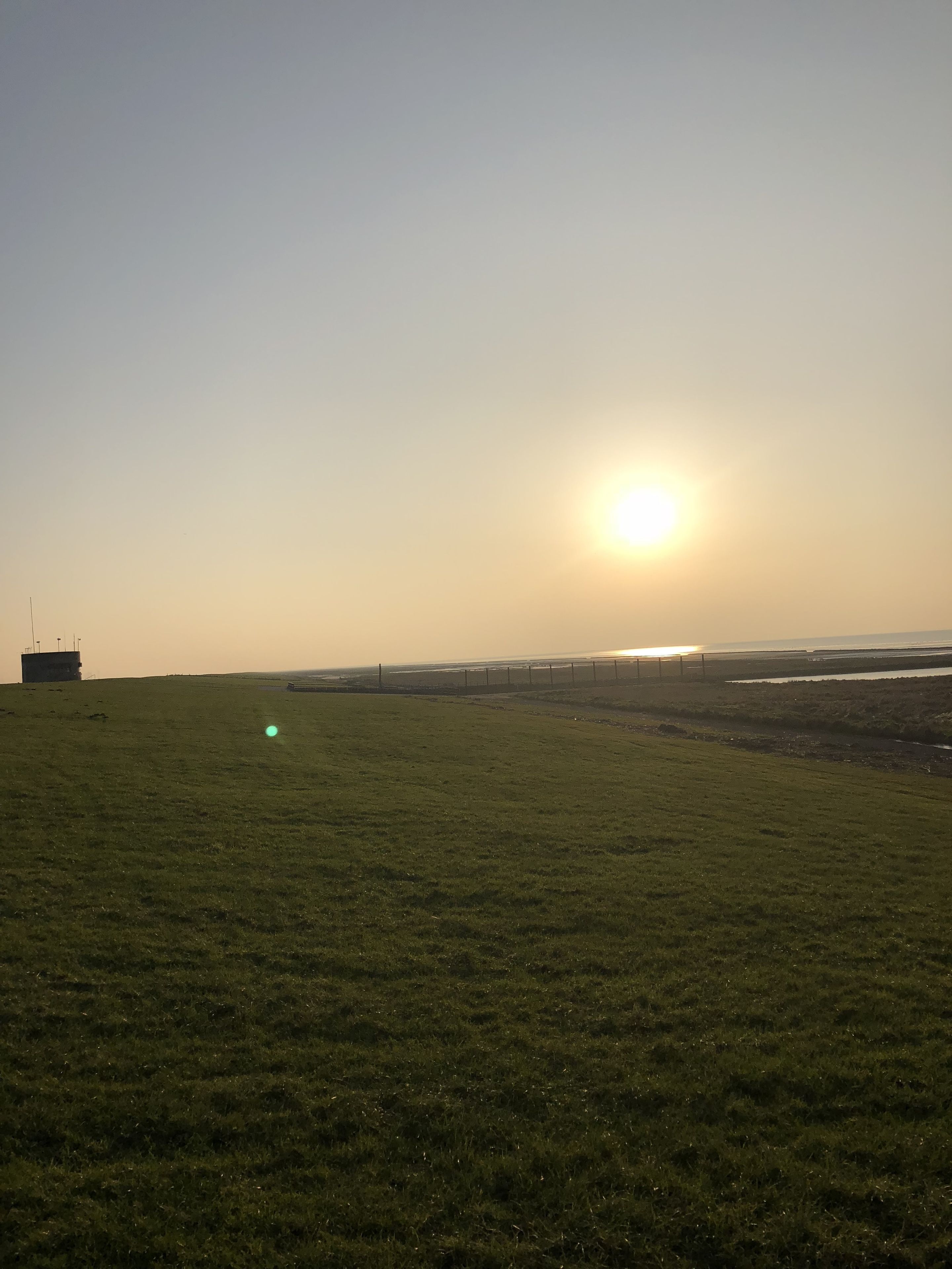 Een grasveld met een brug in de verte en een gebouw aan de linkerkant.