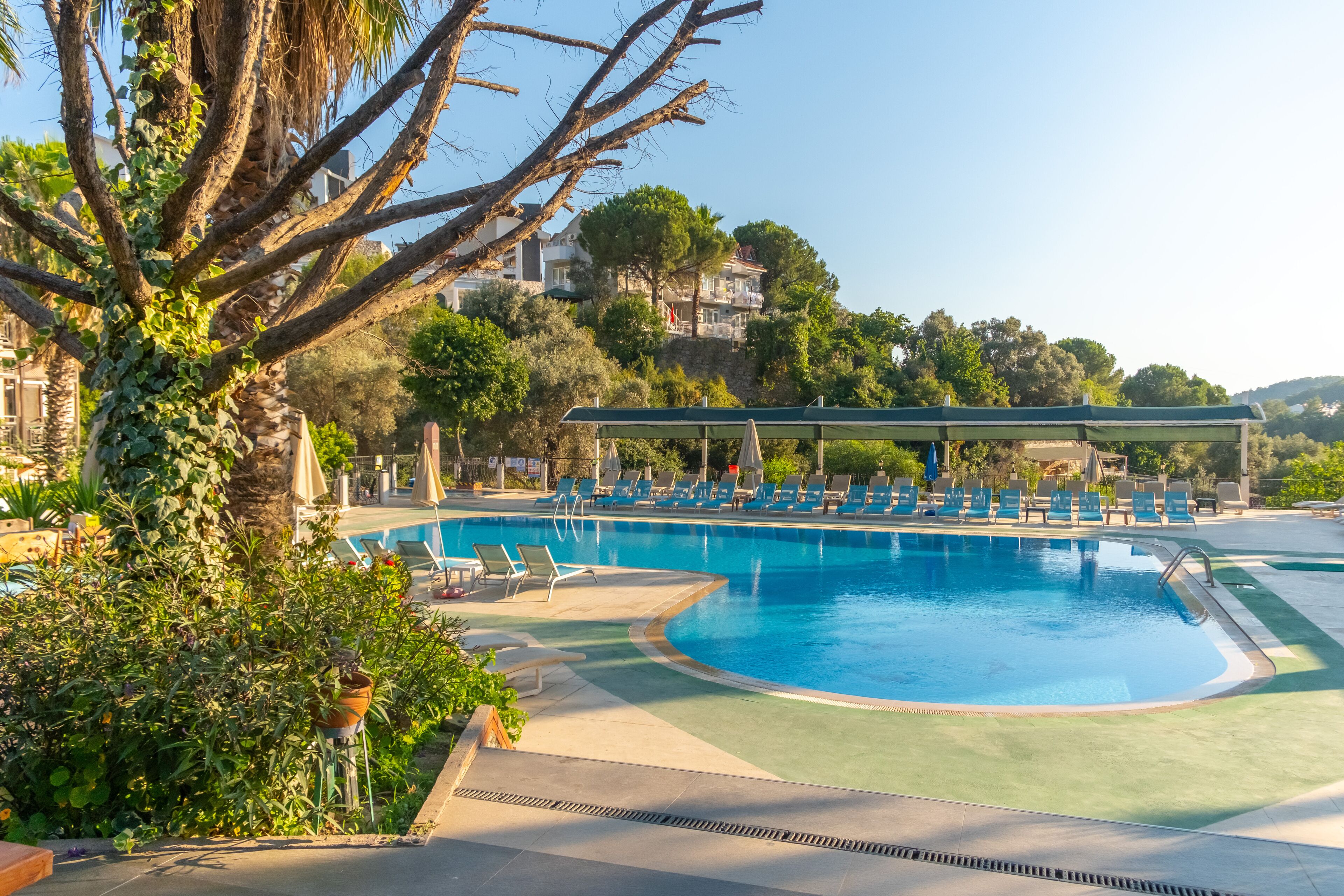 Outdoor pool, pool umbrellas, pool loungers