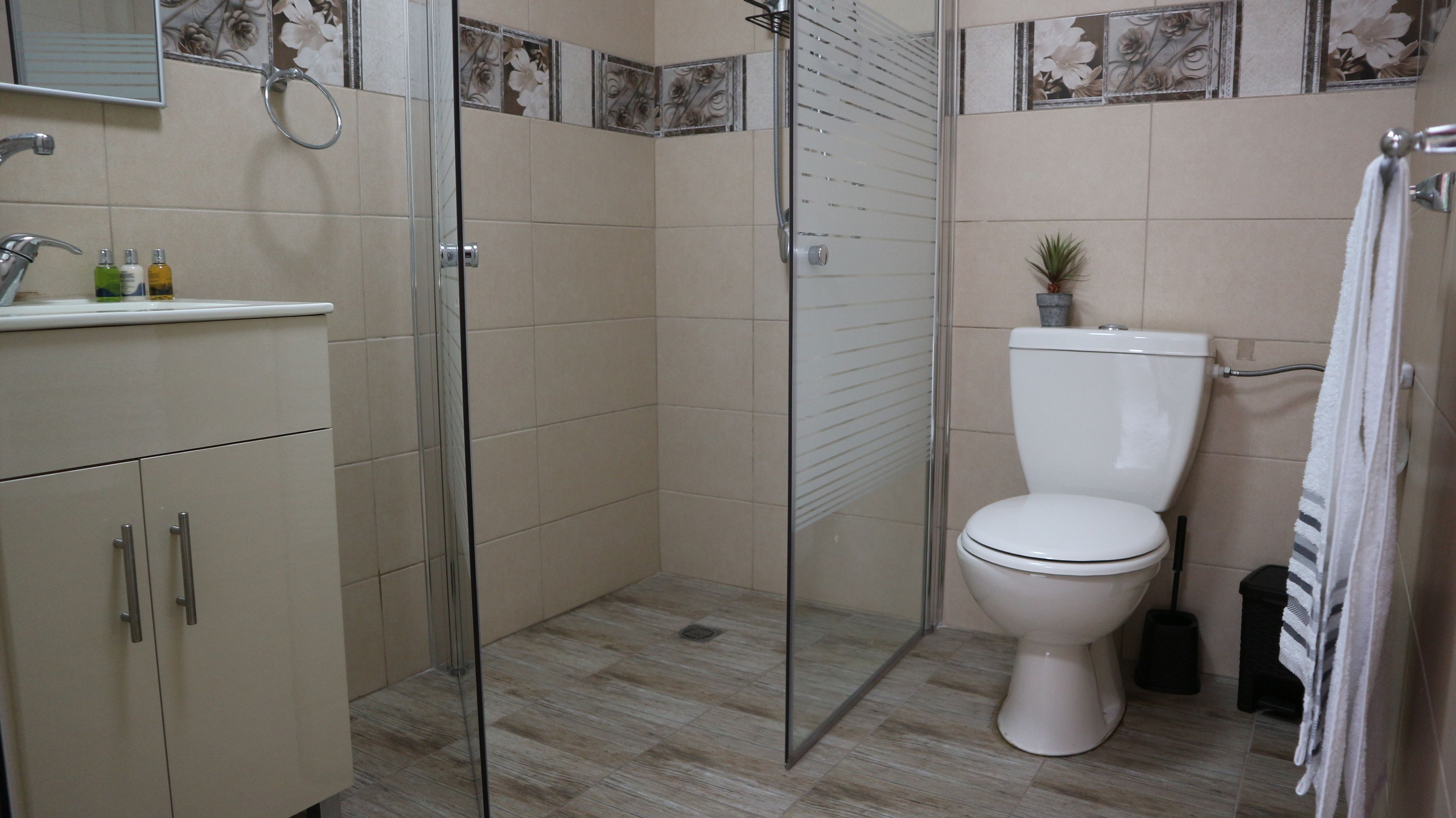 Deluxe Suite, 1 King Bed with Sofa bed, Smoking, With Garden | Baño | Regadera, amenidades de baño gratuitas, secadora de cabello 