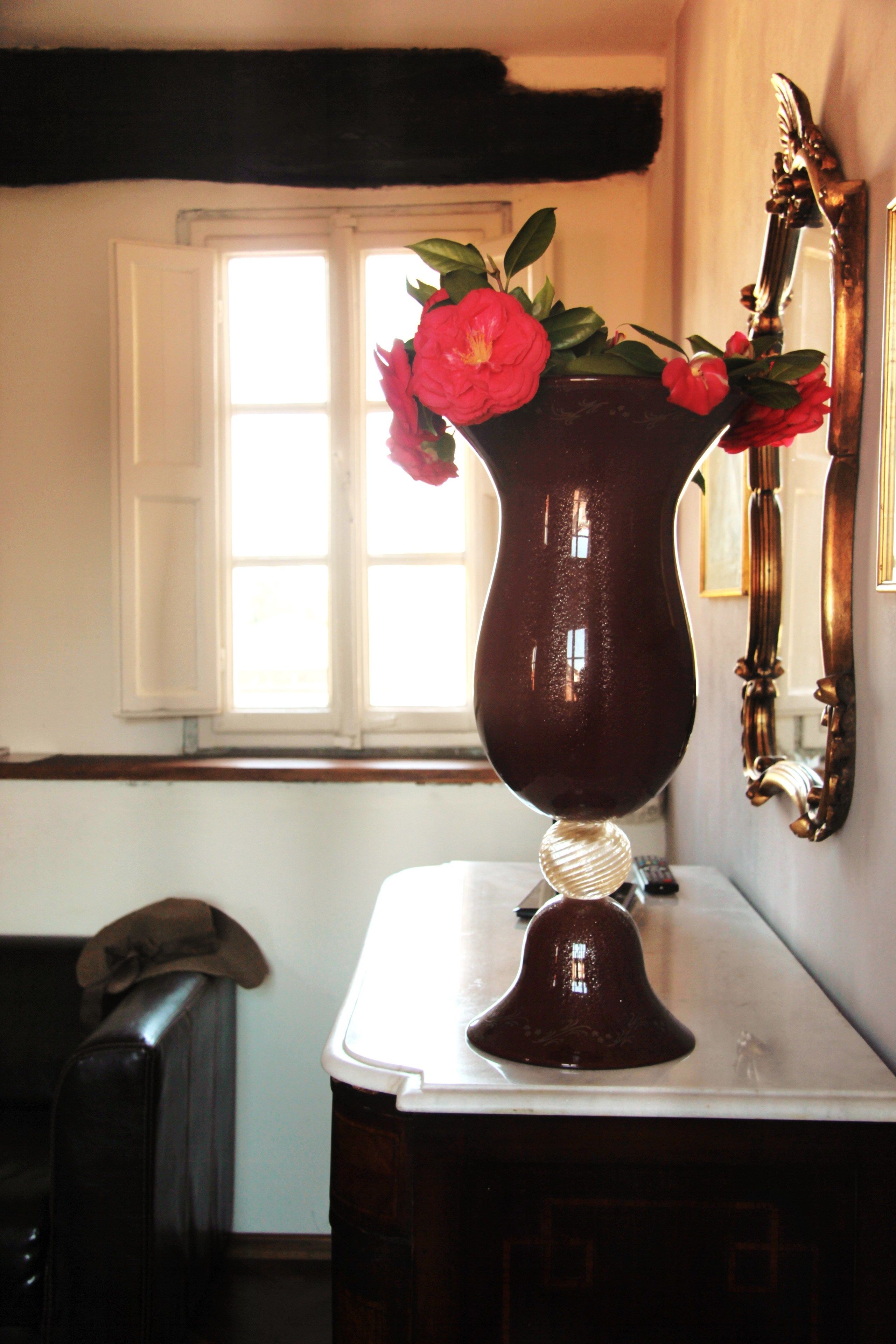 Foto - Altana Panoramic