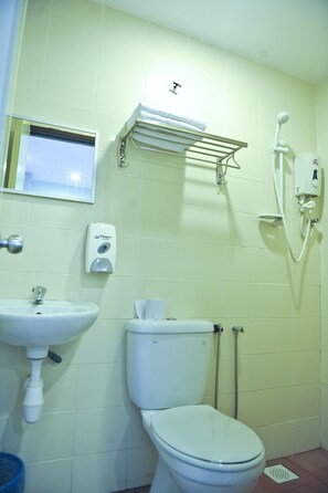 Shower, hair dryer, slippers, bidet