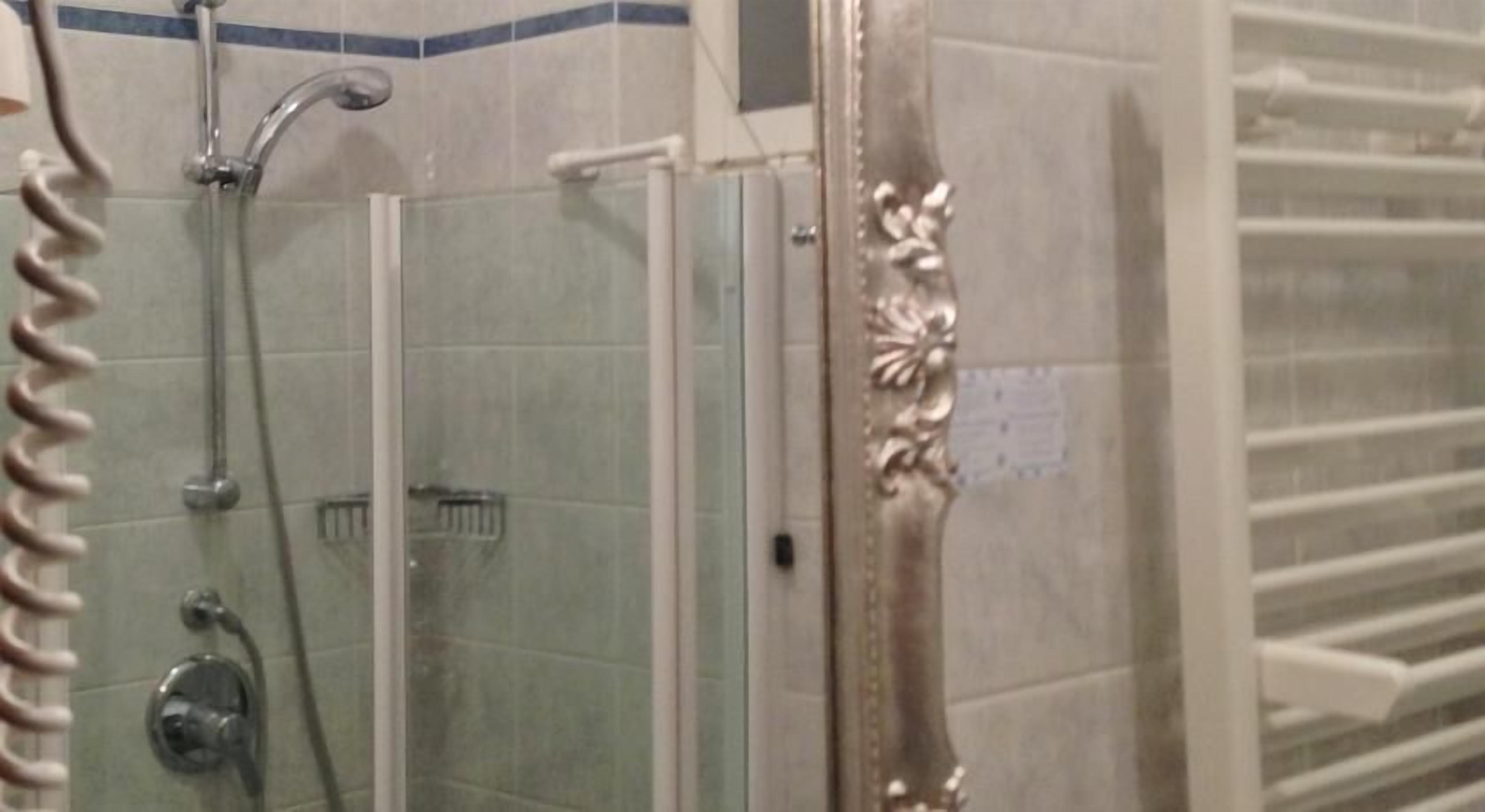 shower, free toiletries, hair dryer, bidet