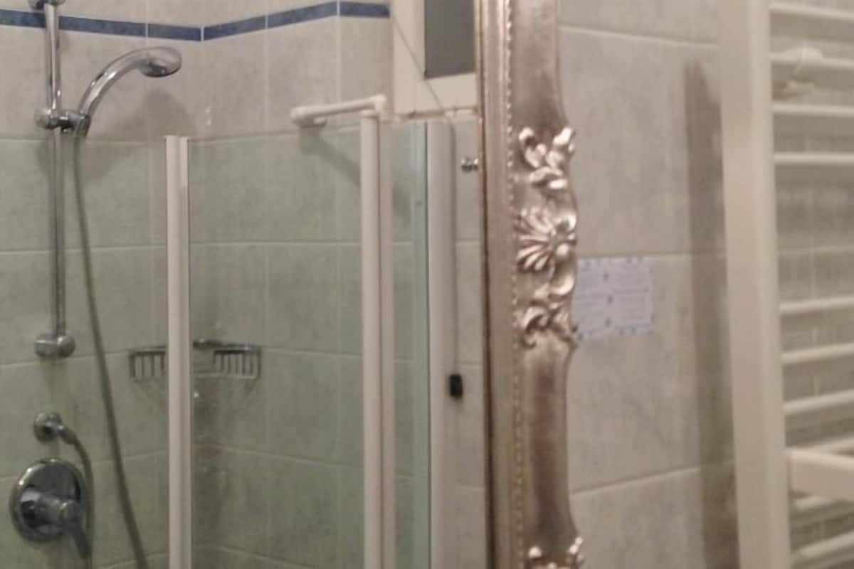 shower, free toiletries, hair dryer, bidet