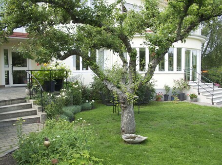 Jardín. Villa Ingrid