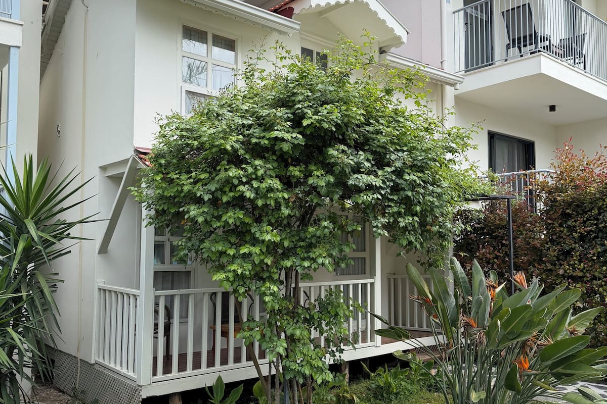 A two-story building with a balcony, a garden area with stepping stones, and a small tree.