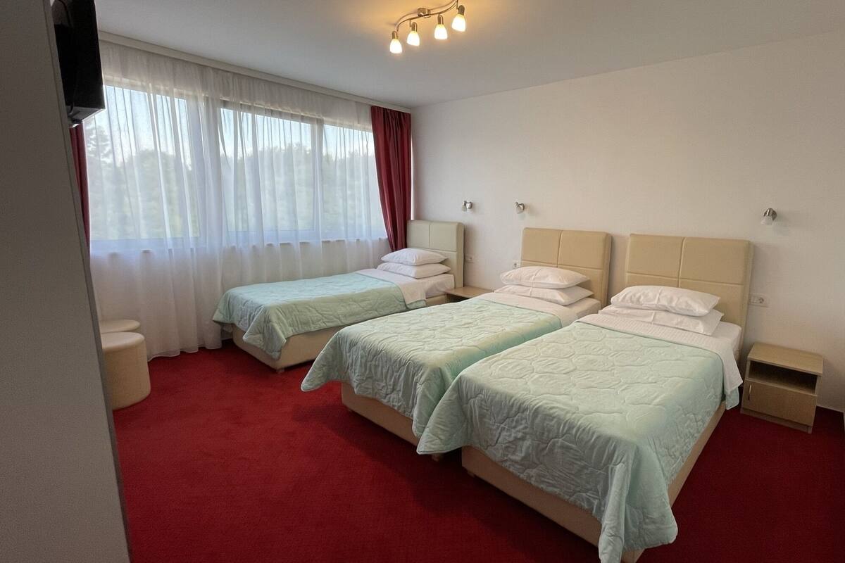 A hotel room with two beds, a red carpet, a window with sheer curtains, and a ceiling light fixture.