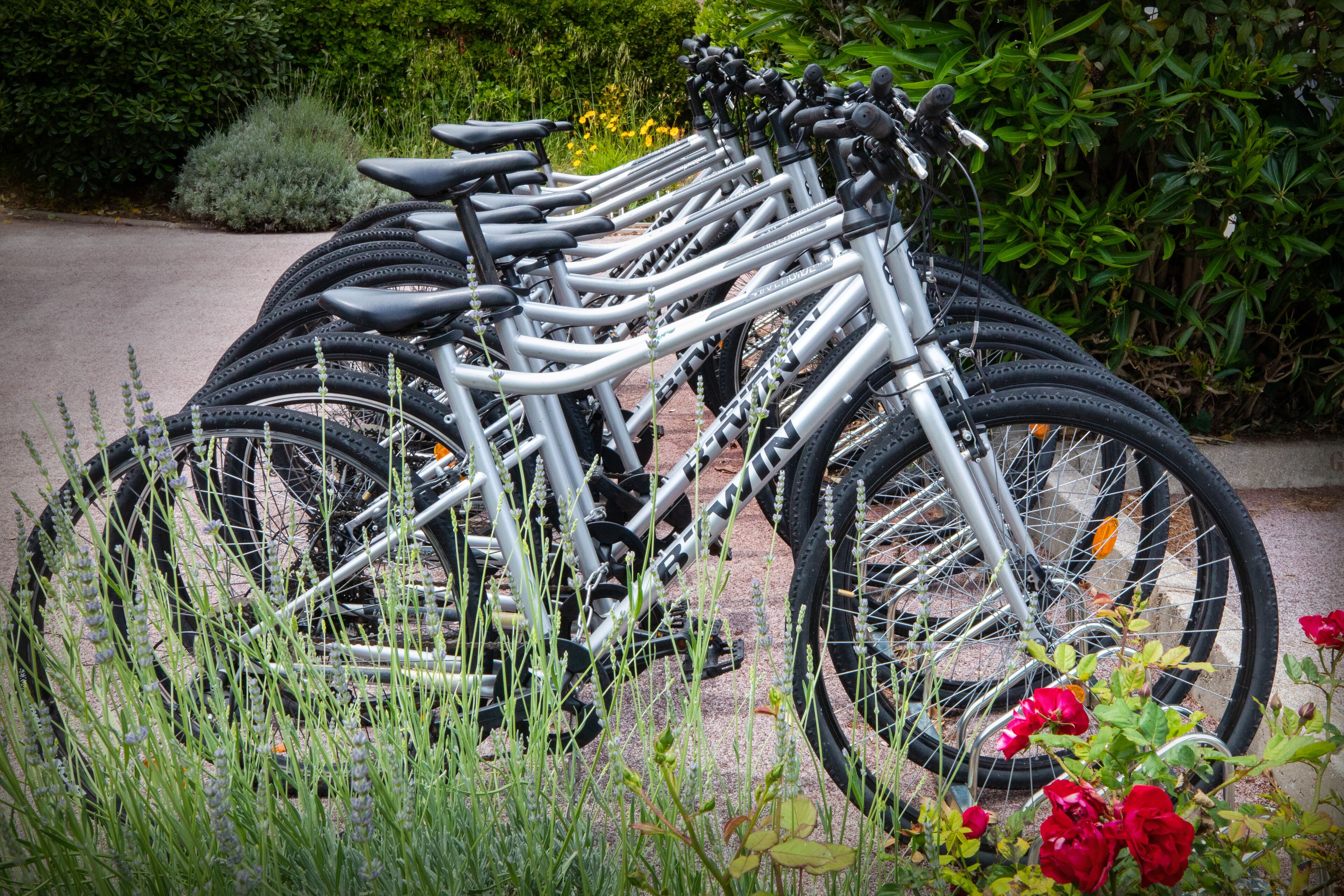 Une rangée de vélos est garée dans un jardin, entourée de verdure et de fleurs.