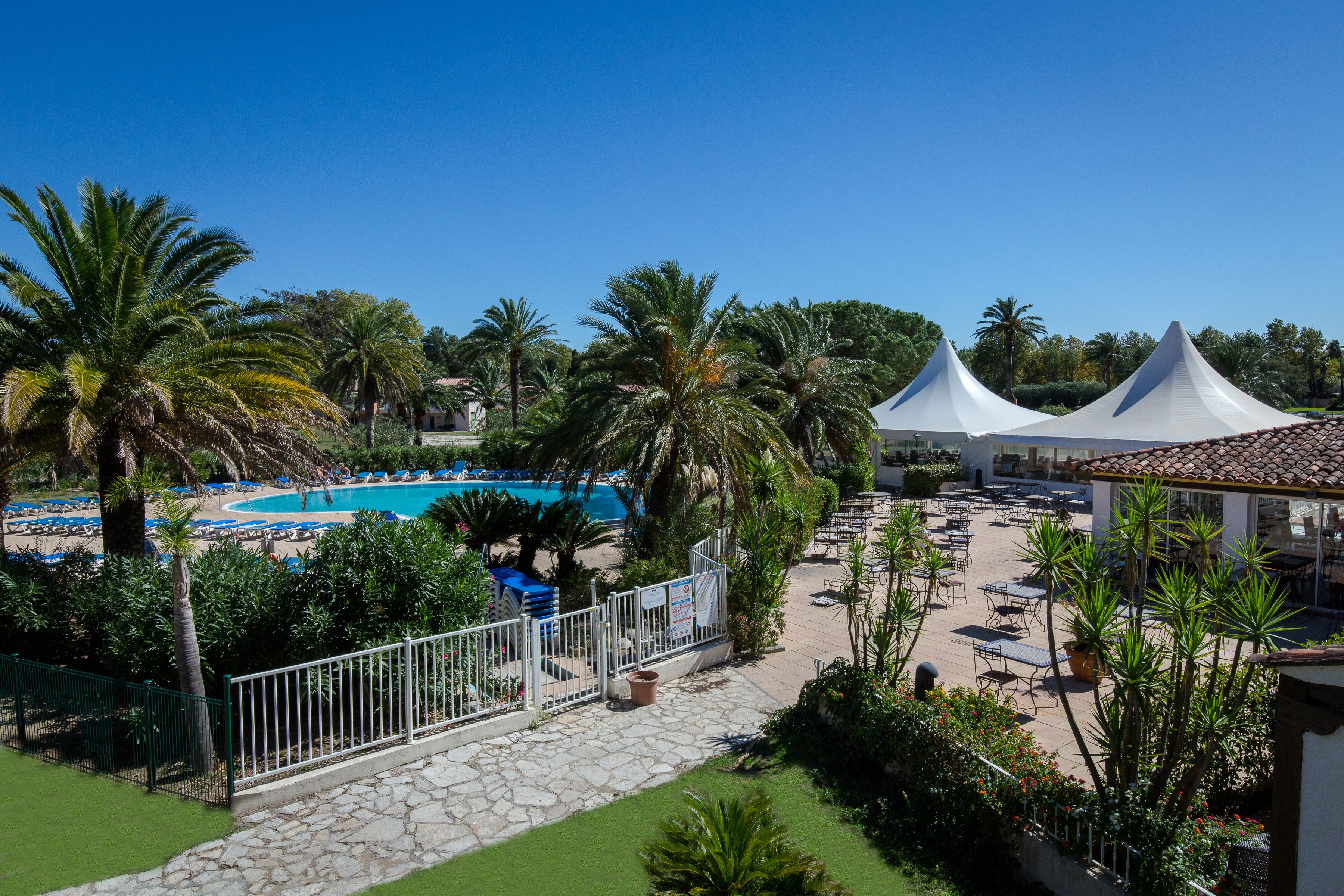 Un complexe hôtelier doté d’une piscine, d’un espace extérieur aménagé et de palmiers.