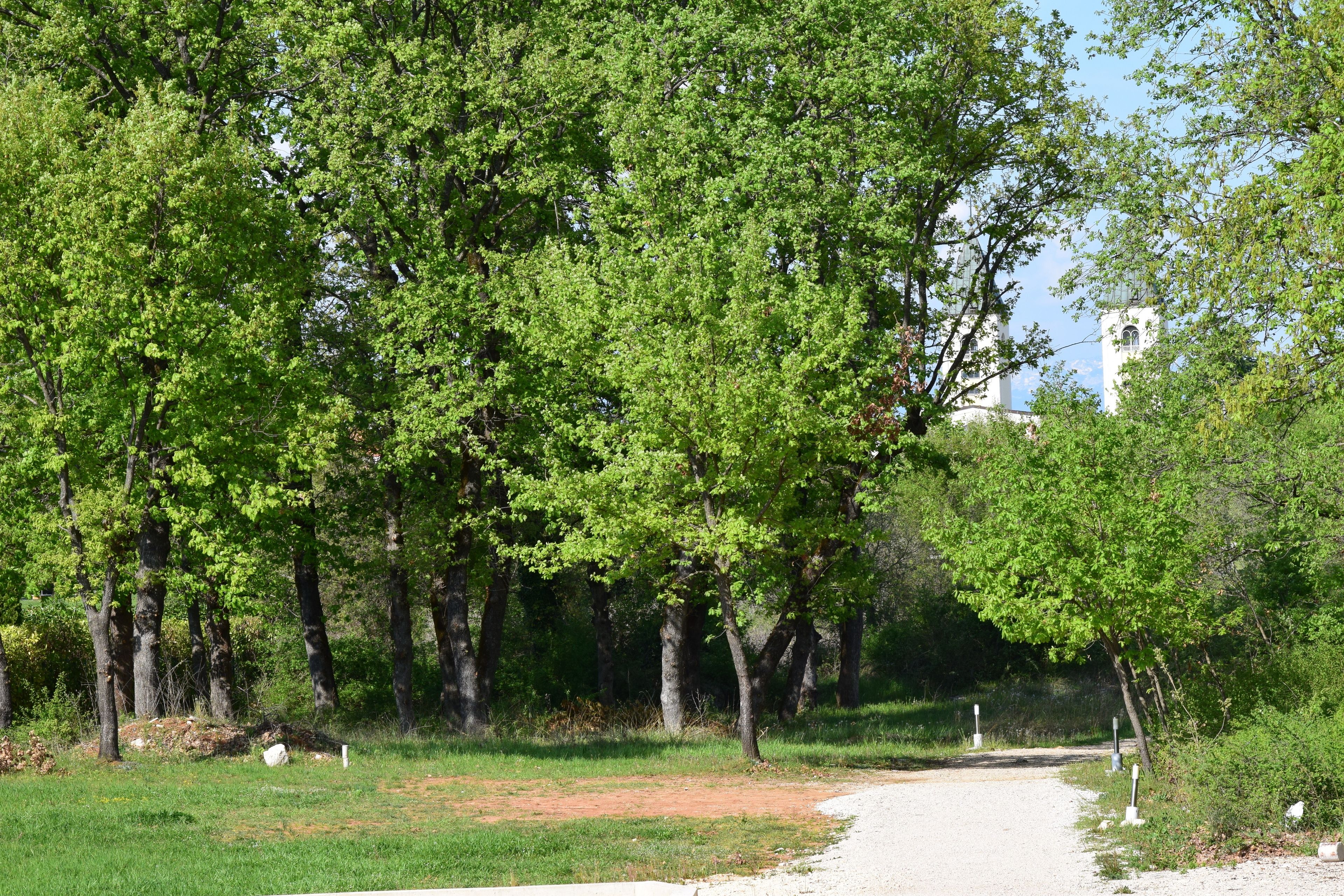 children’s activities