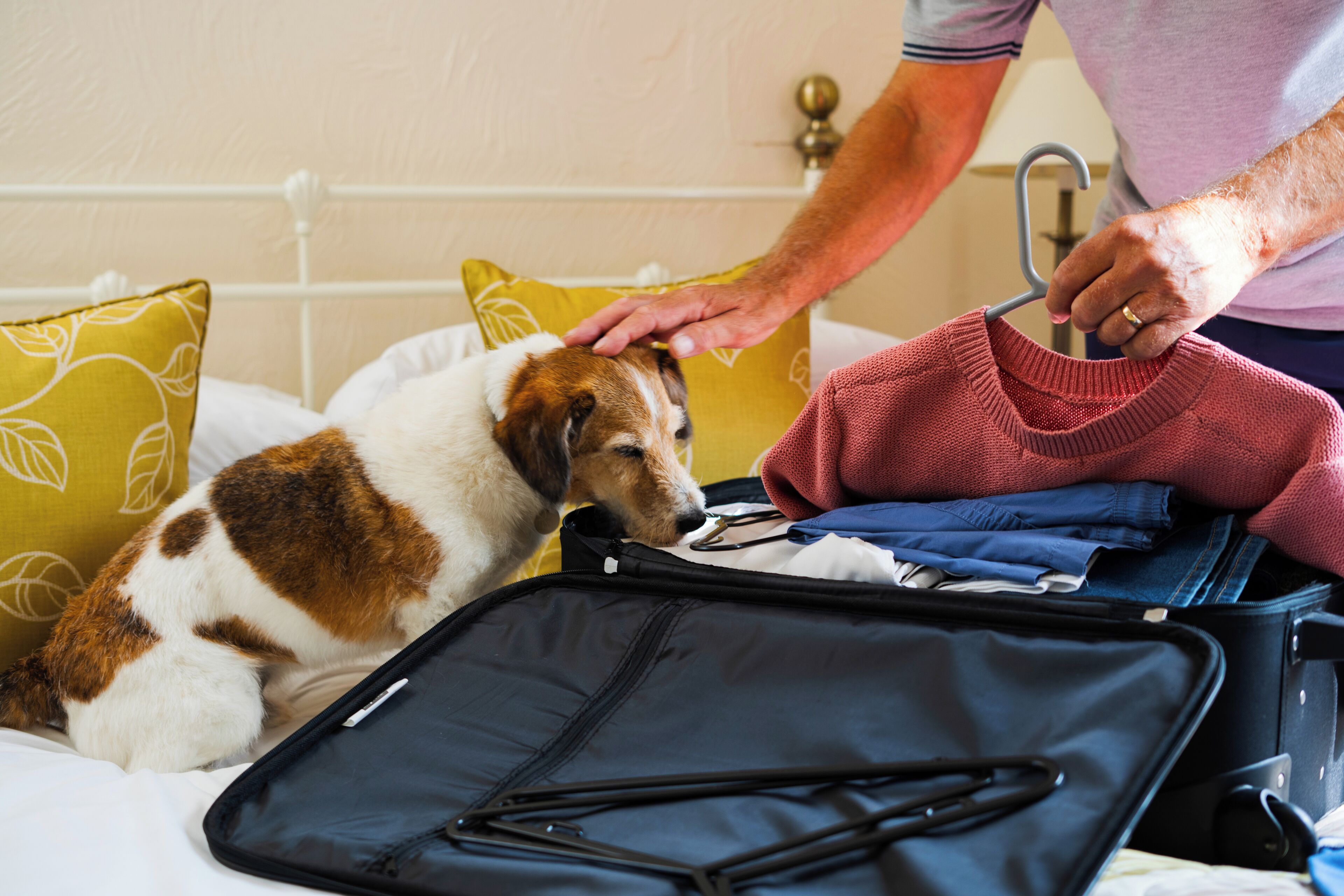 cottage, 2 bedrooms (dog friendly) | iron/ironing board, free wifi, bed sheets