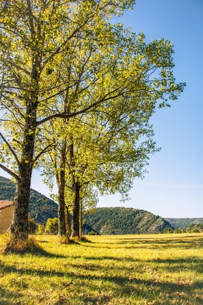 A landscape with three trees and a building in the background. - Hôtel Le Panoramic (La Palud-sur-Verdon)