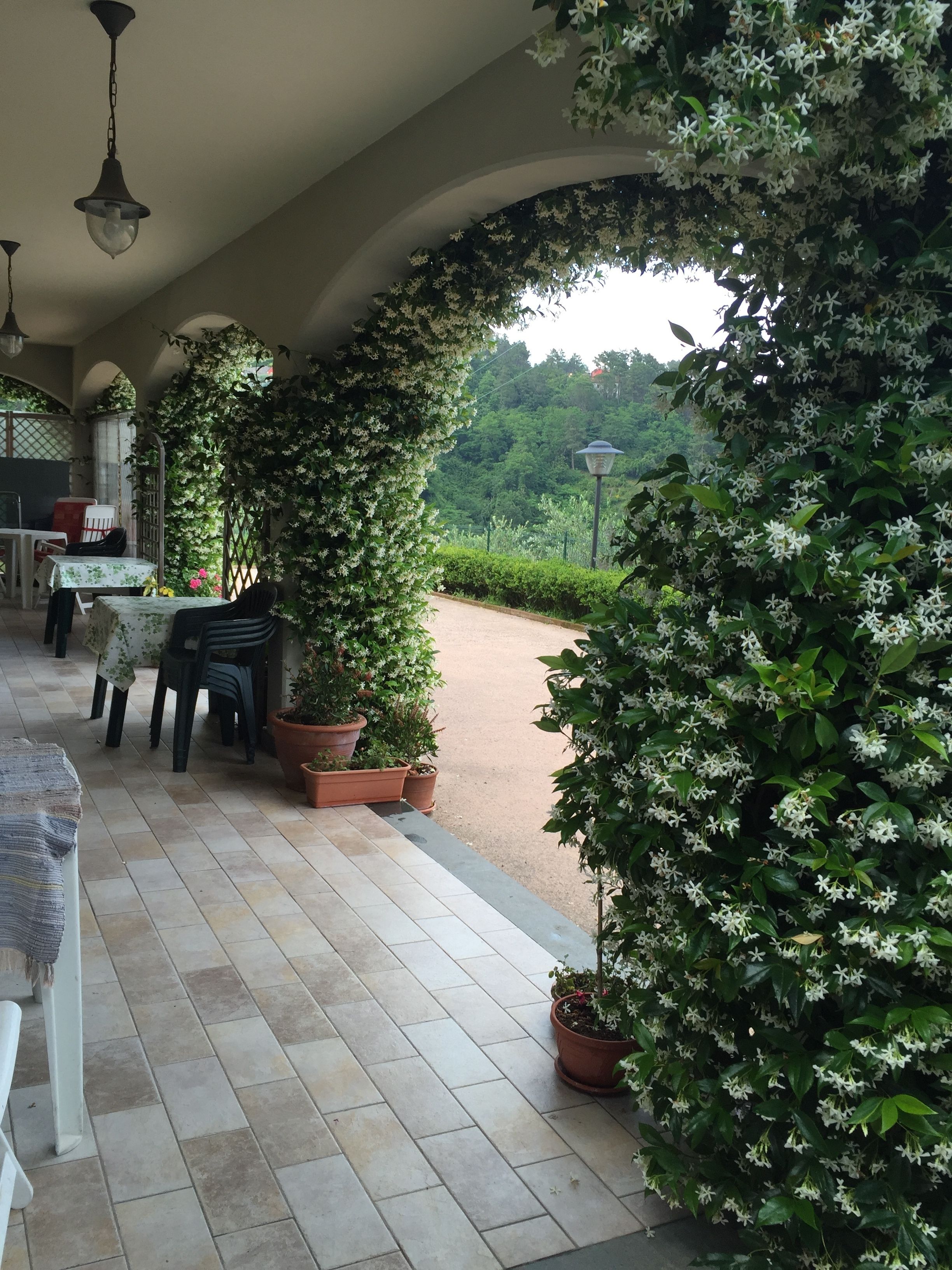 Foto - Gli Ulivi Di Montalbano