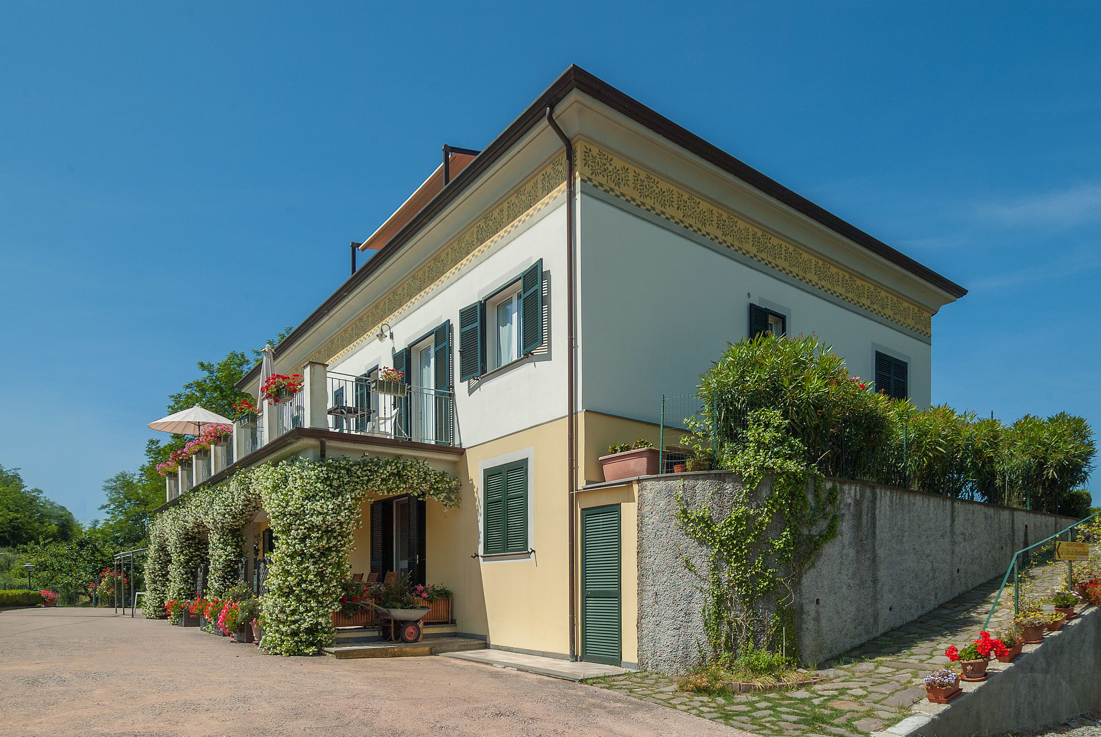 Foto - Gli Ulivi Di Montalbano