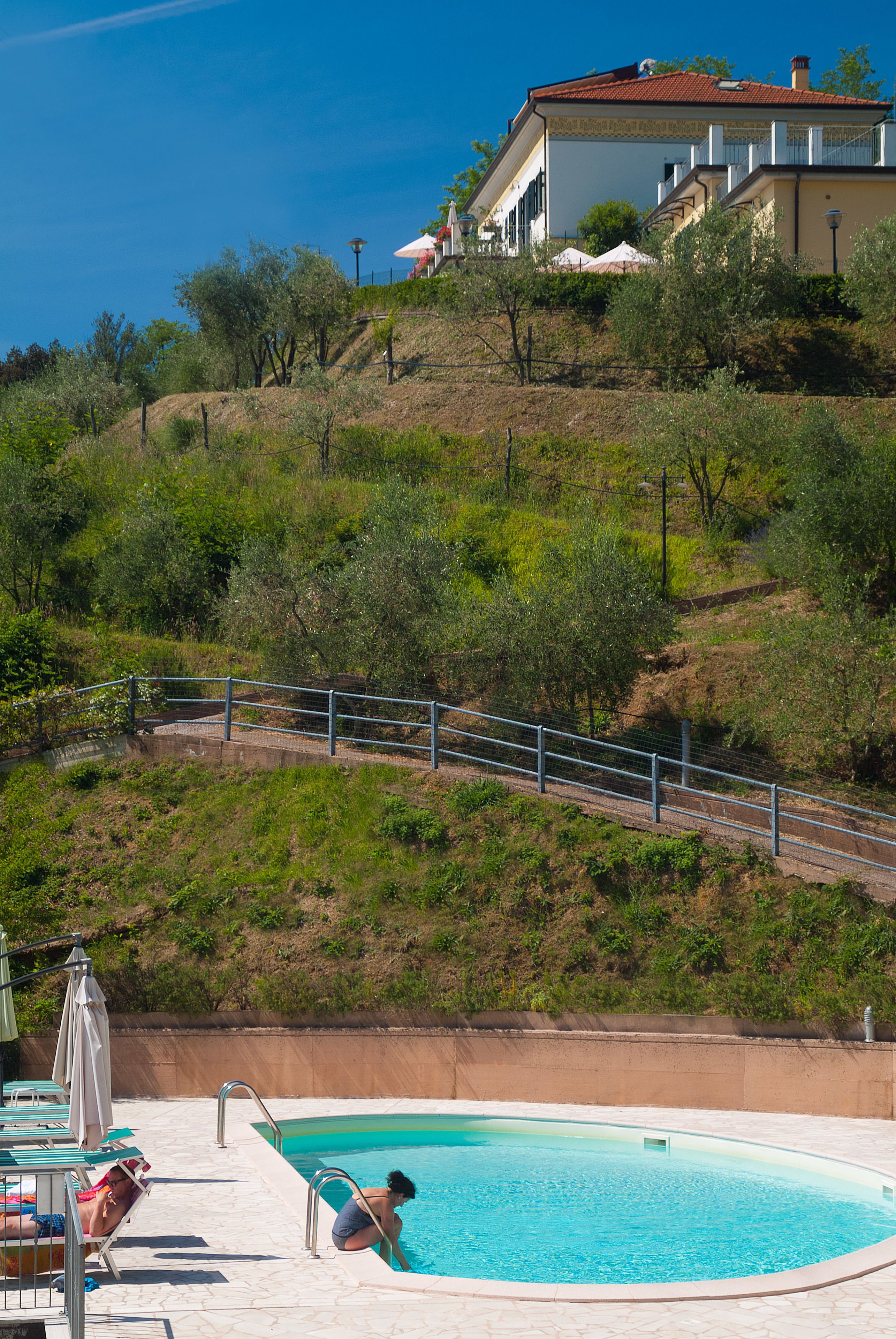 Foto - Gli Ulivi Di Montalbano