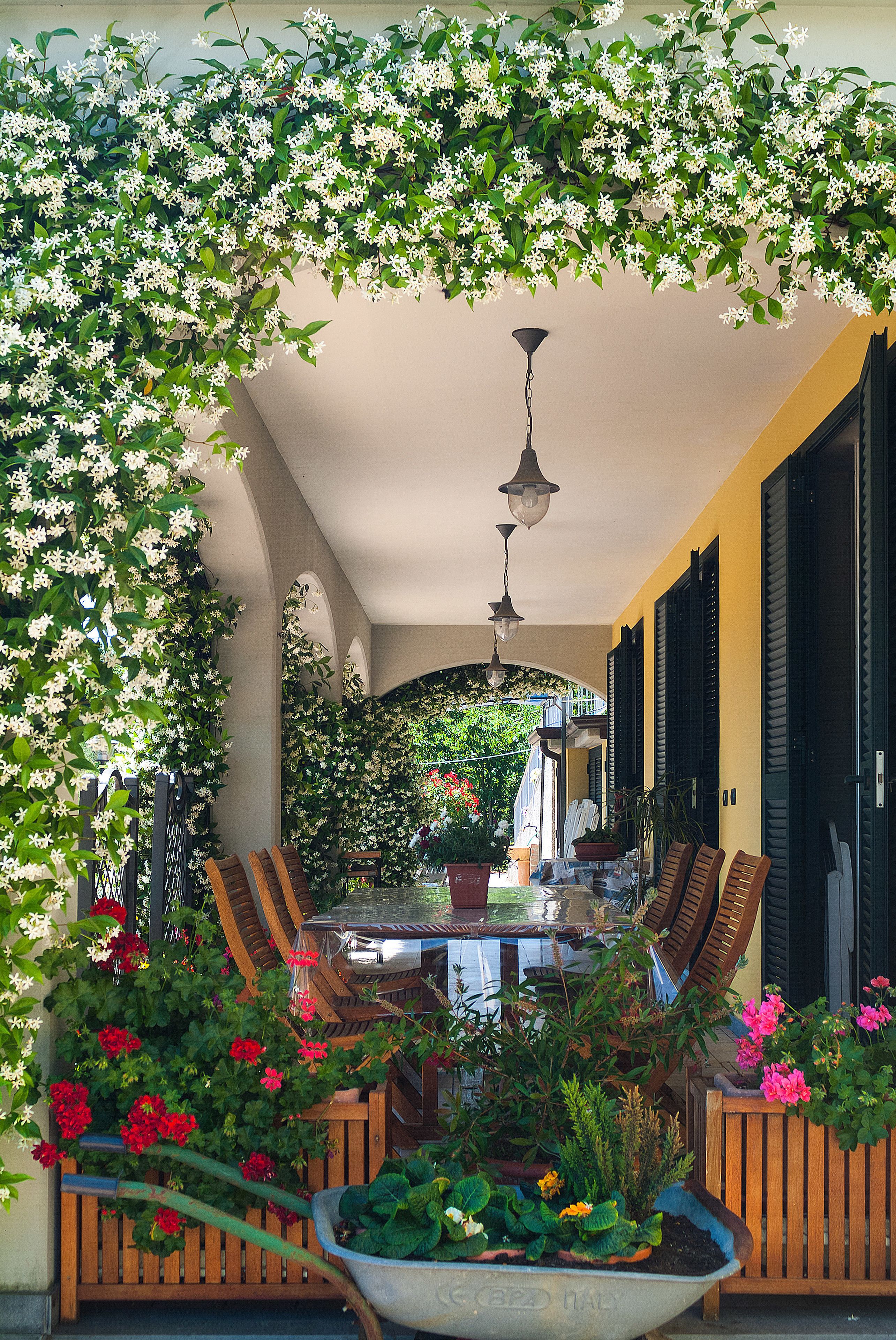 Foto - Gli Ulivi Di Montalbano