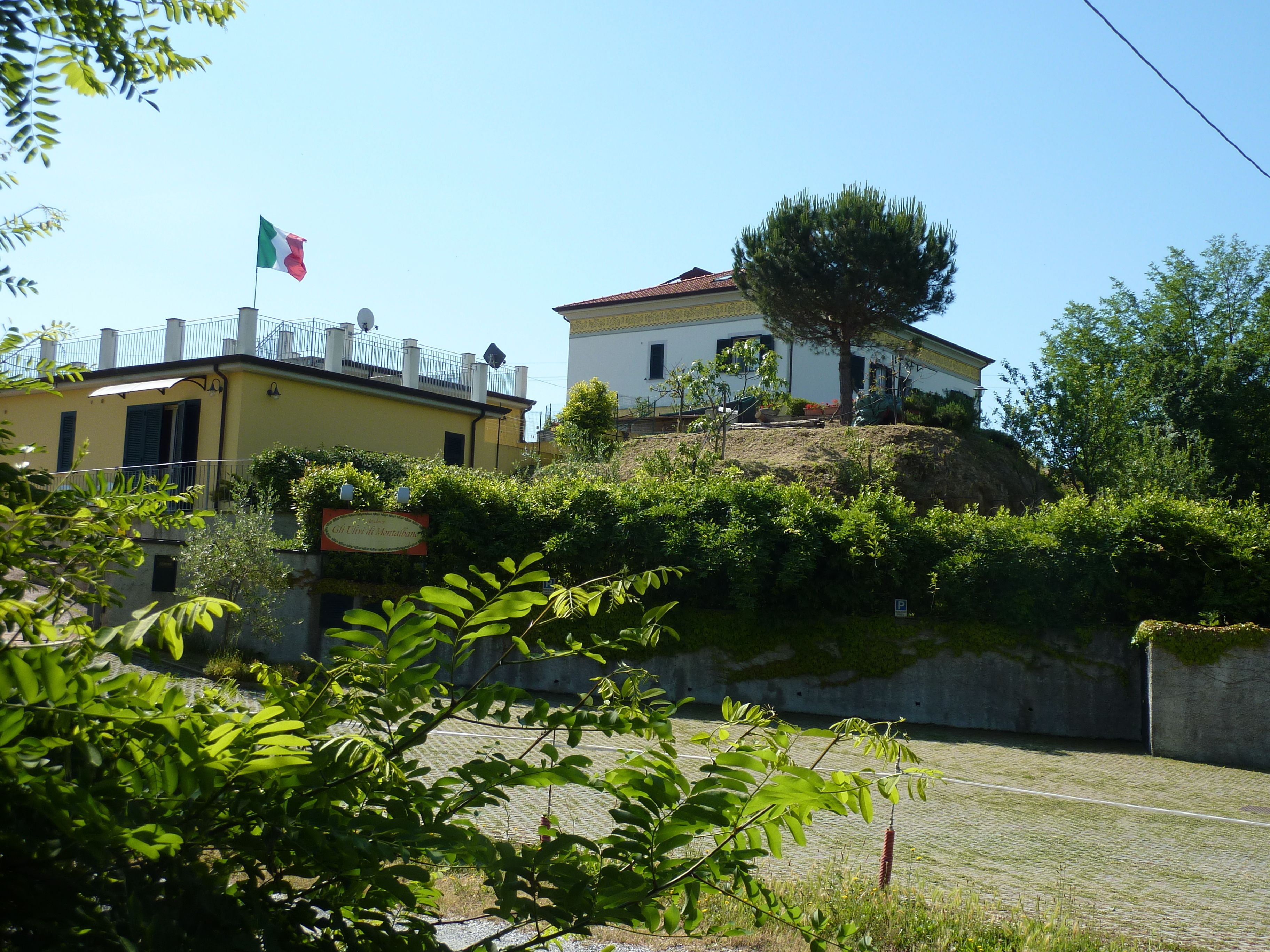 Foto - Gli Ulivi Di Montalbano