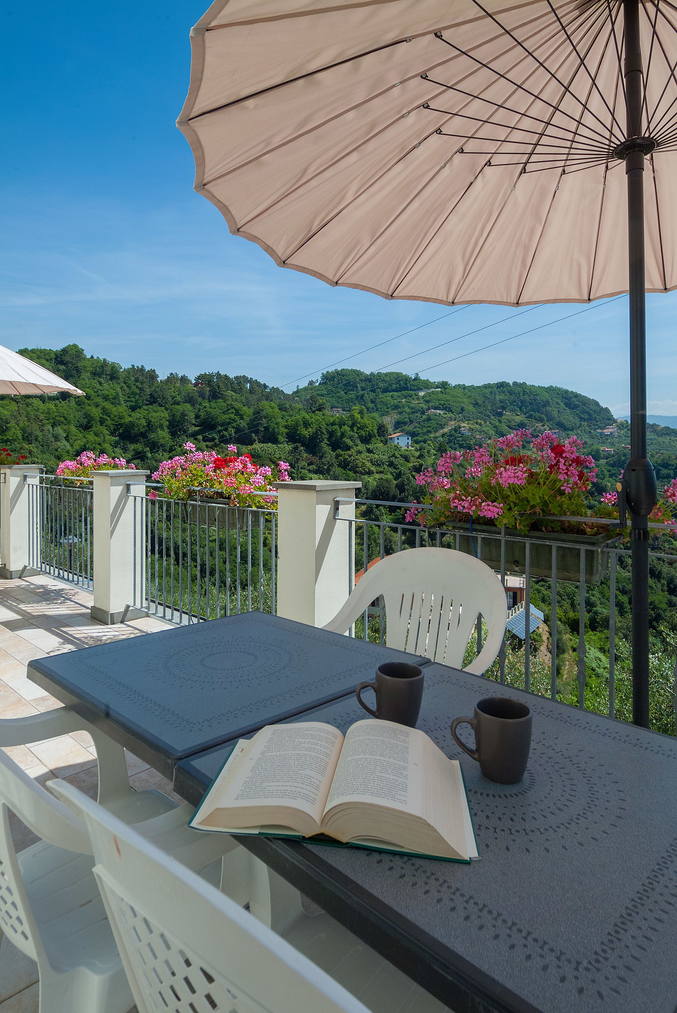 Foto - Gli Ulivi Di Montalbano