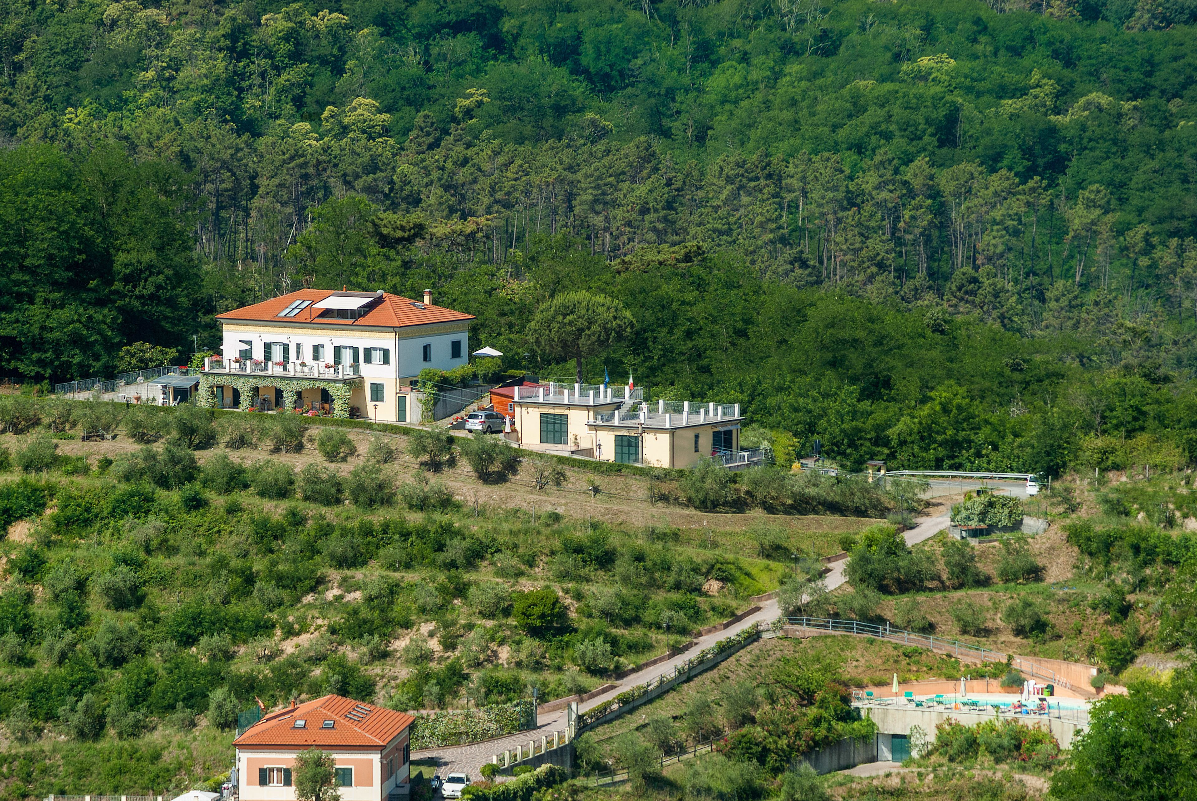 Foto - Gli Ulivi Di Montalbano