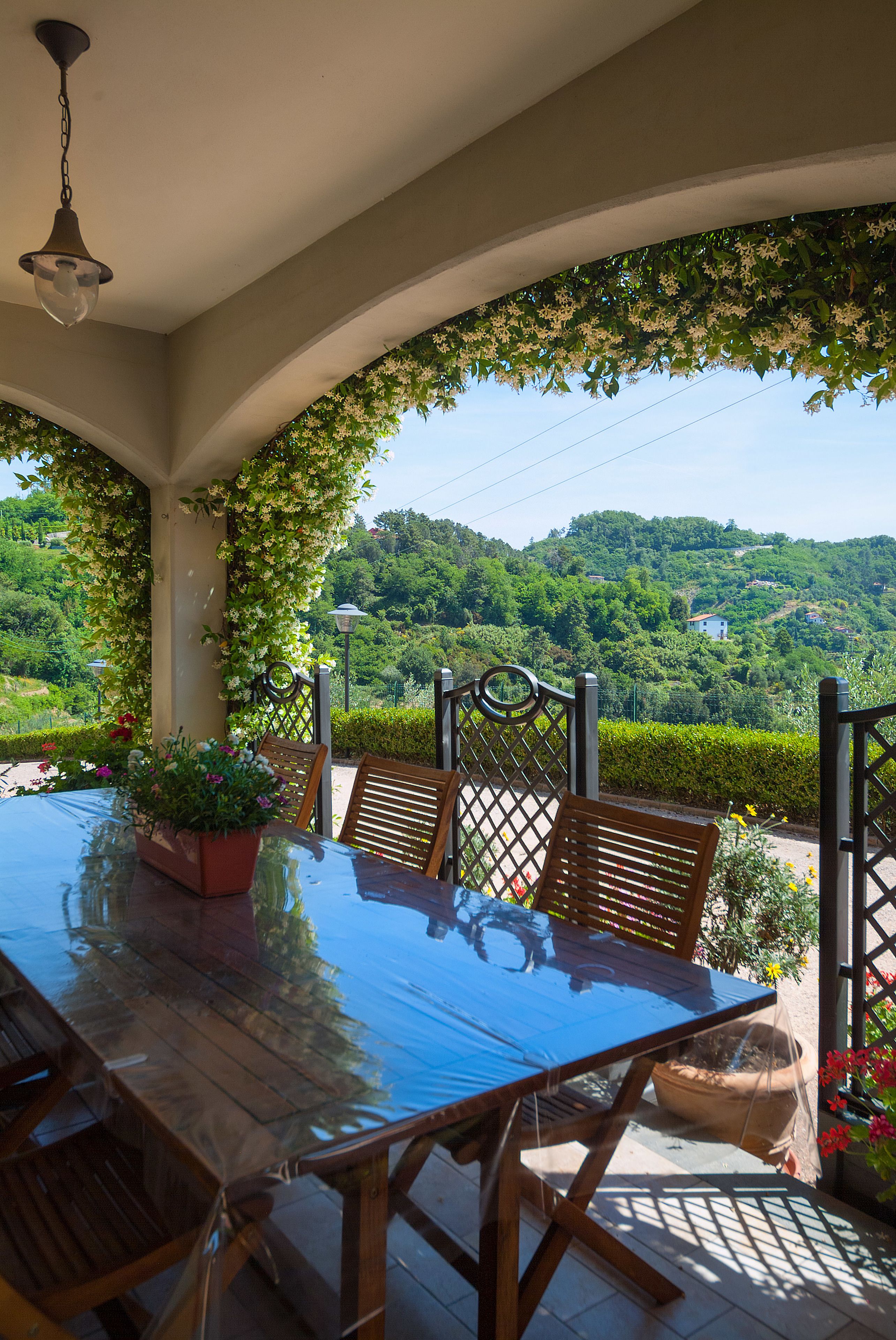 Foto - Gli Ulivi Di Montalbano