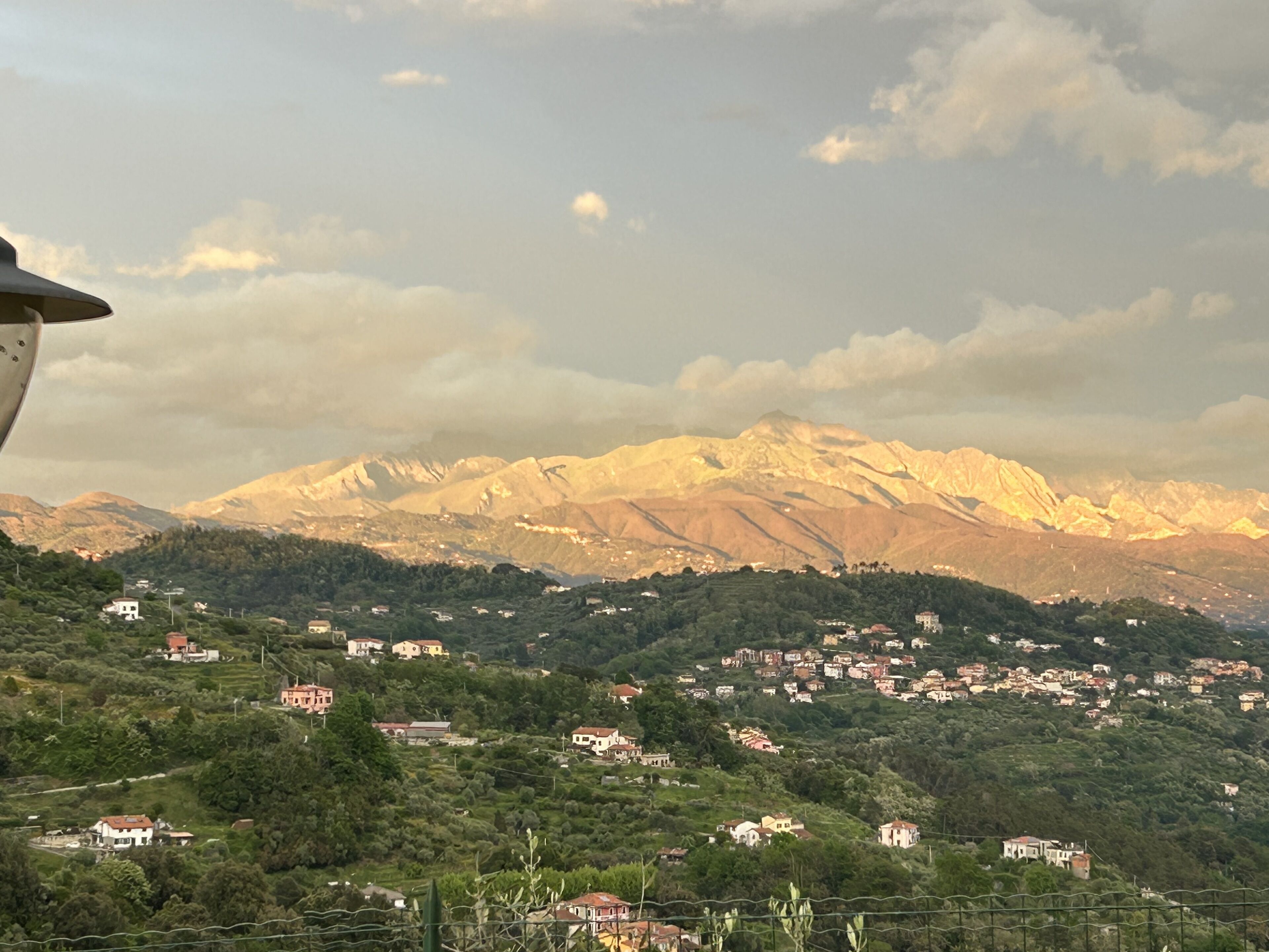 Foto - Gli Ulivi Di Montalbano