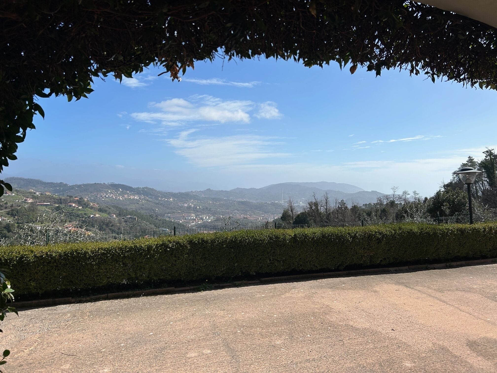 Foto - Gli Ulivi Di Montalbano