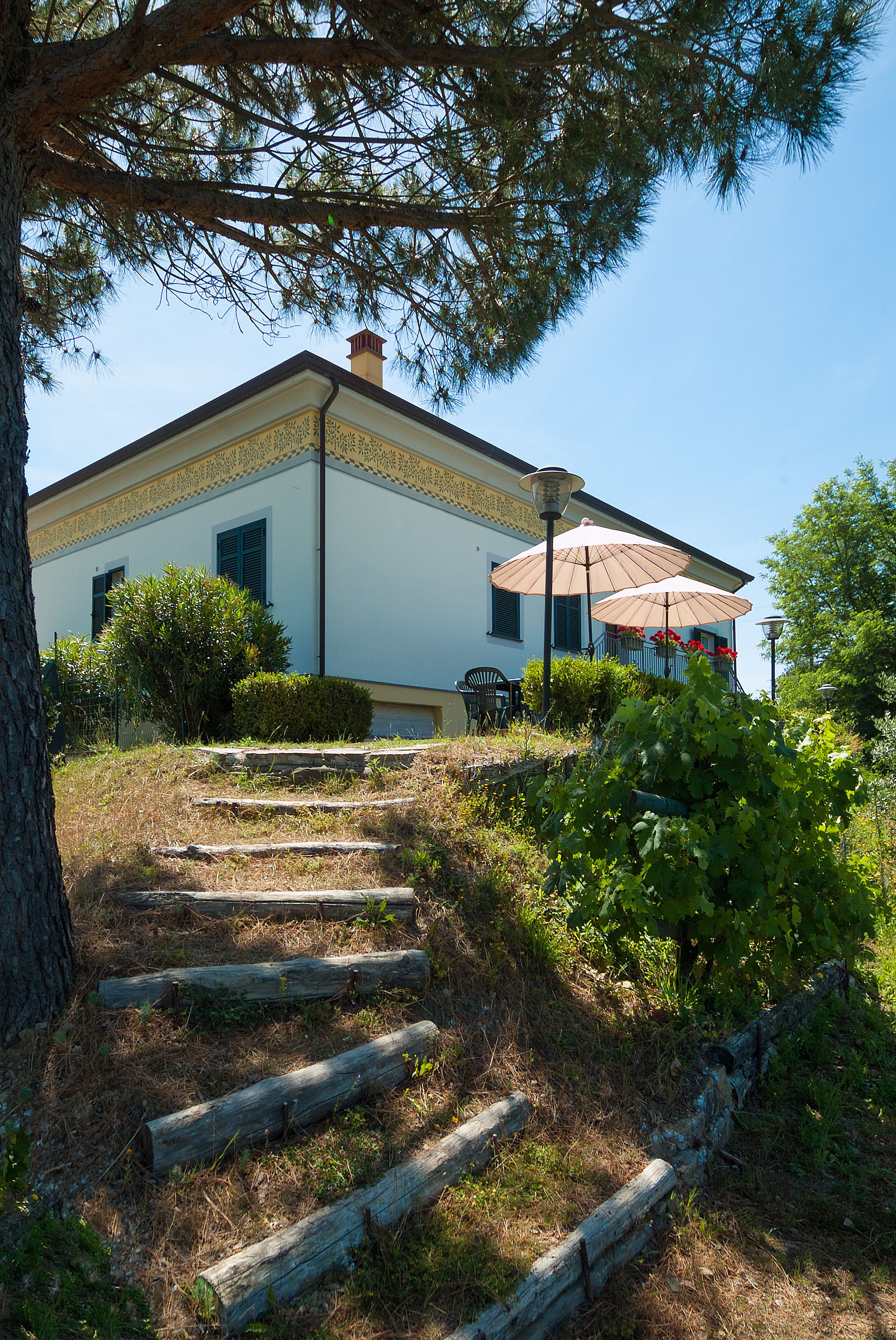 Foto - Gli Ulivi Di Montalbano