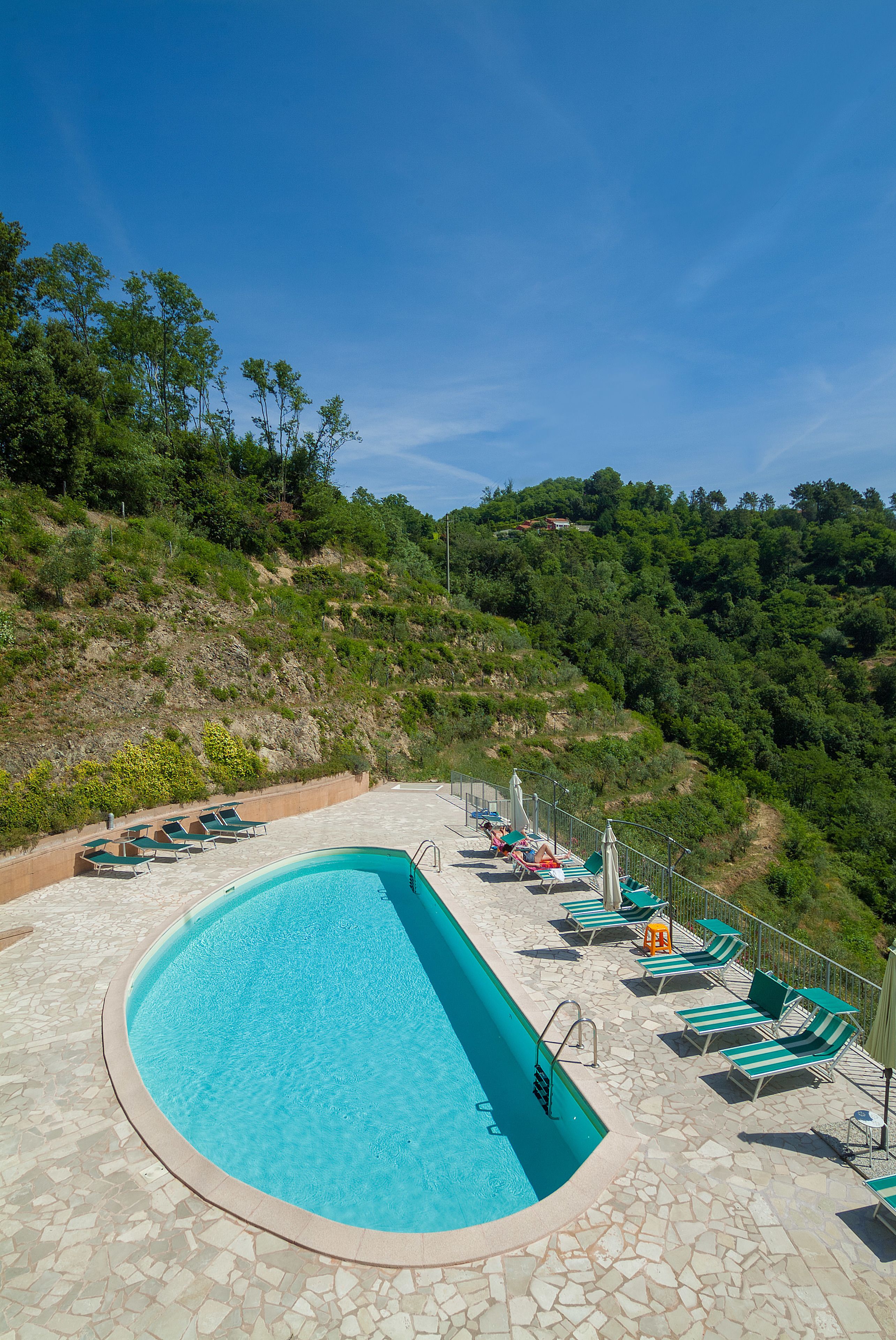 Foto - Gli Ulivi Di Montalbano