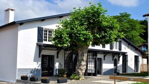 Ein weißes Gebäude mit schwarzen Fensterläden, ein großer Baum davor und Kübelpflanzen.